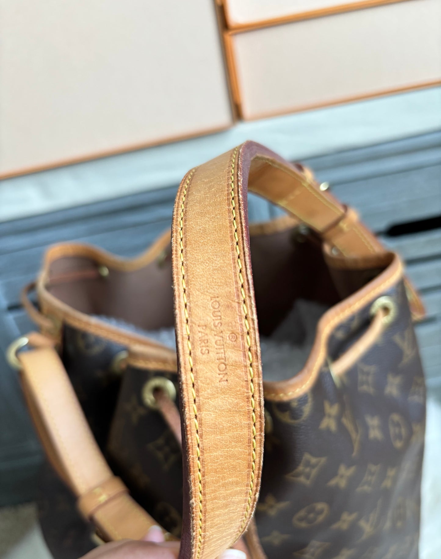 Louis Vuitton Noe GM