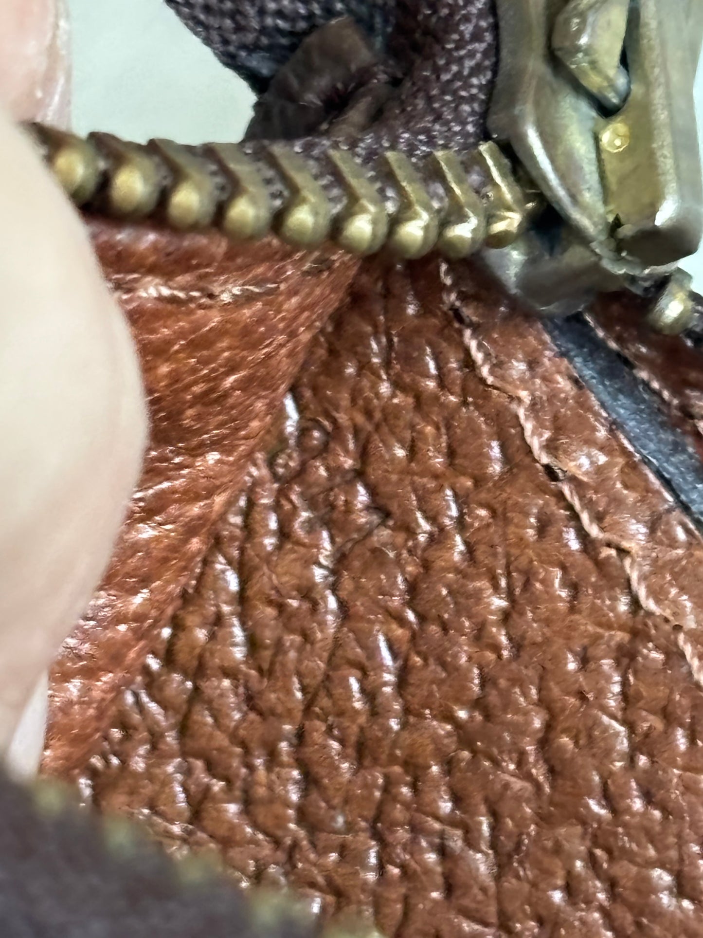 Louis Vuitton Sac Triangle Monogram