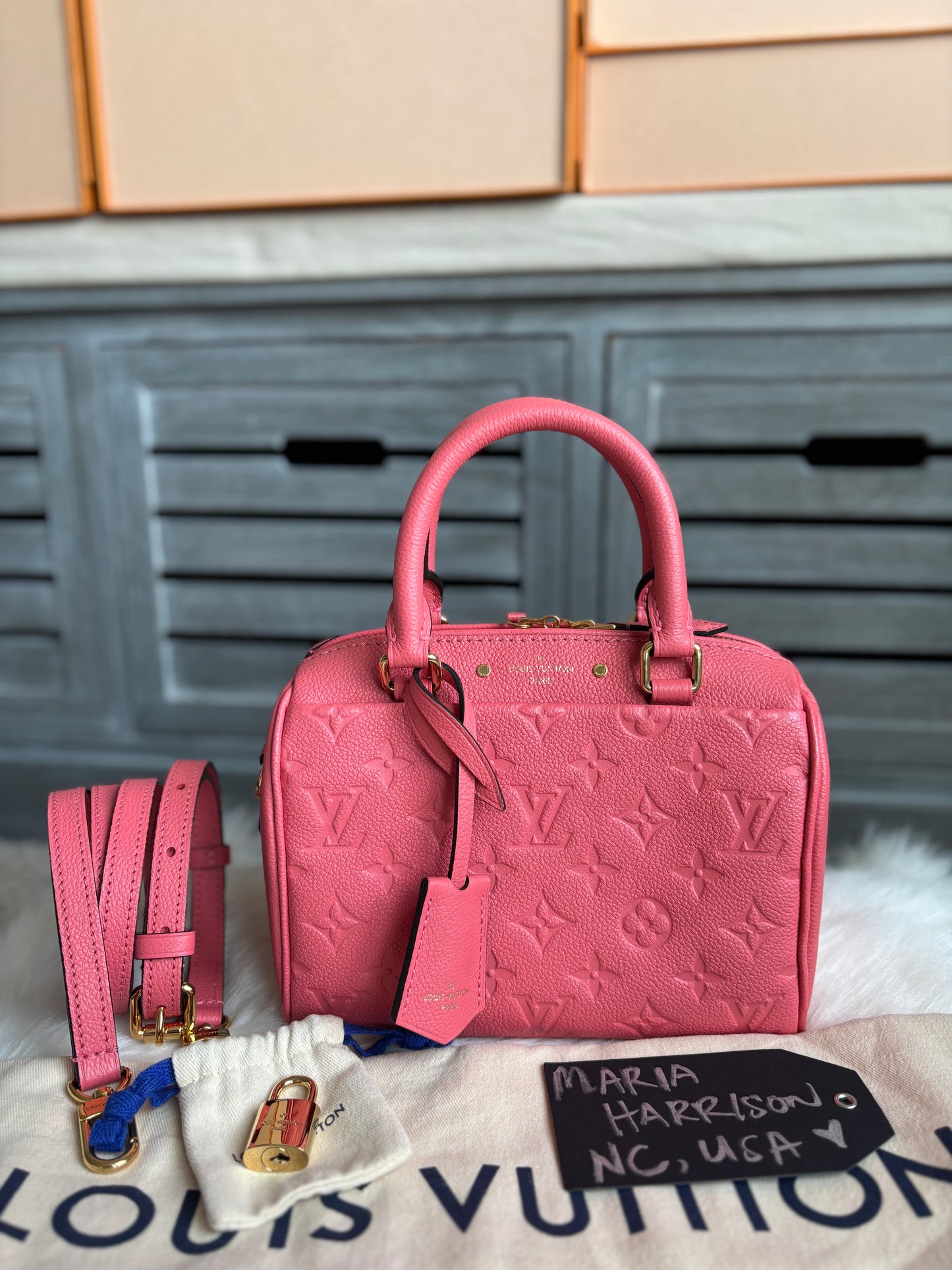 Louis Vuitton Speedy 20 Bandouliere Blossom