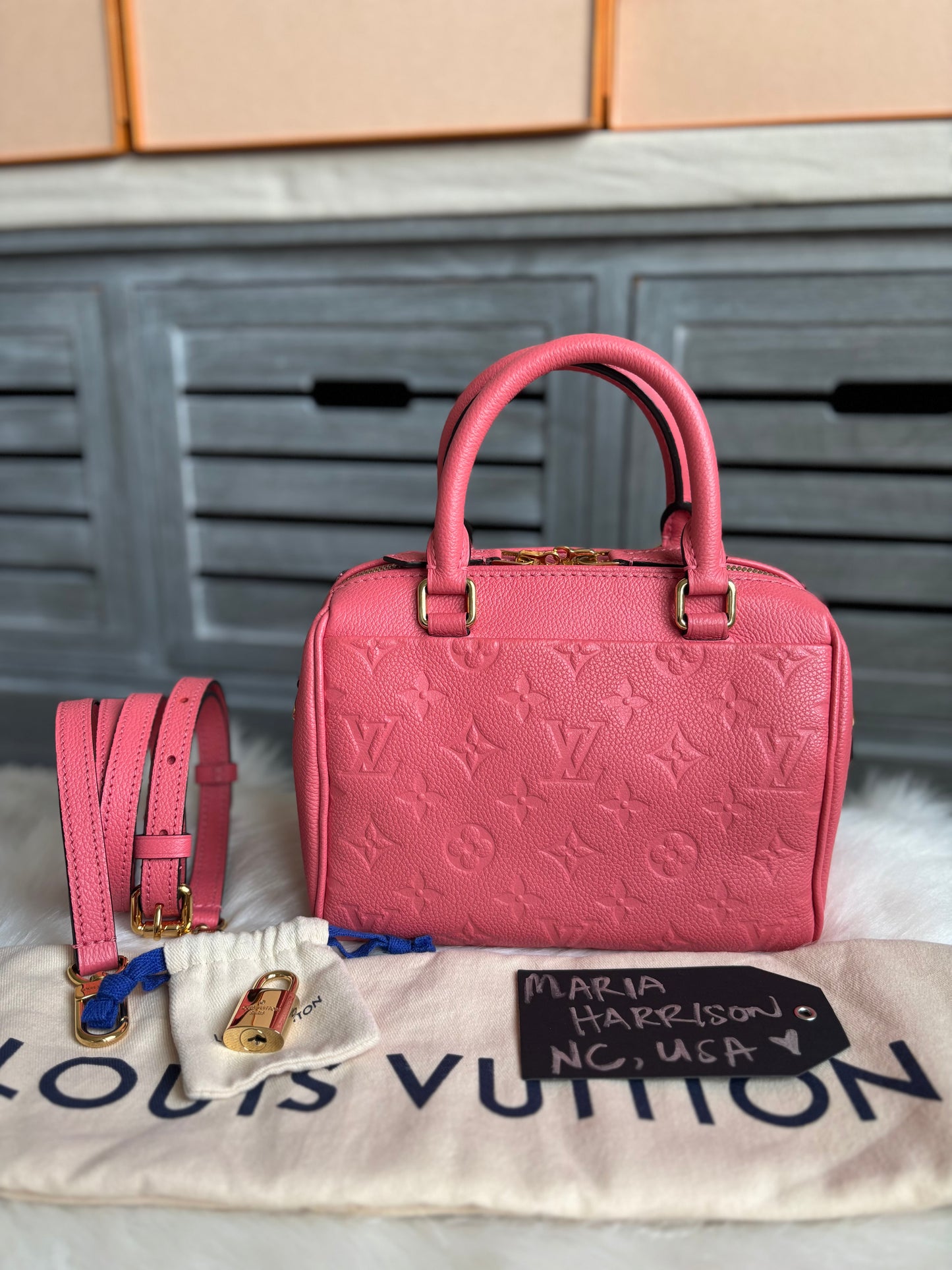 Louis Vuitton Speedy 20 Bandouliere Blossom