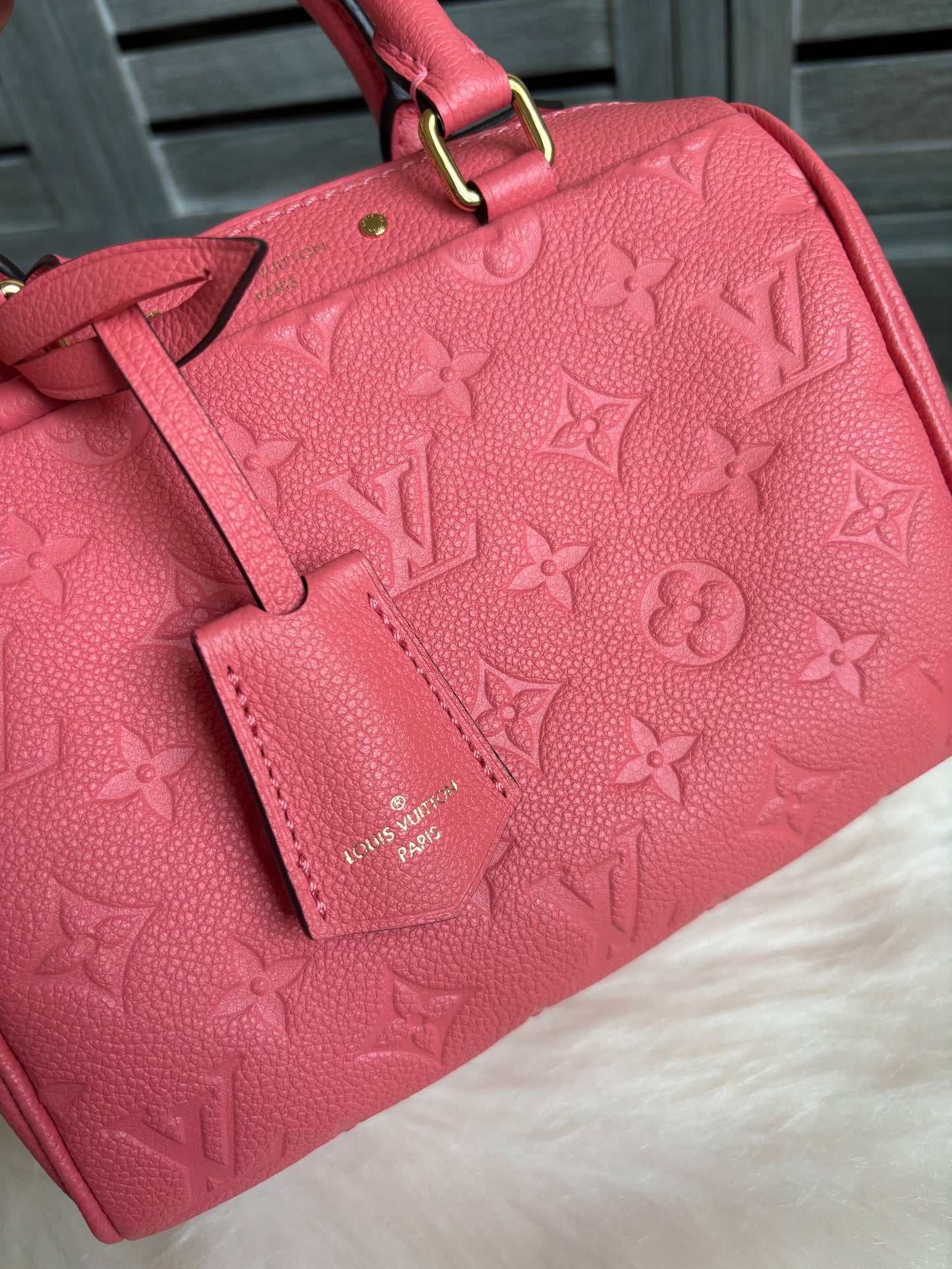Louis Vuitton Speedy 20 Bandouliere Blossom