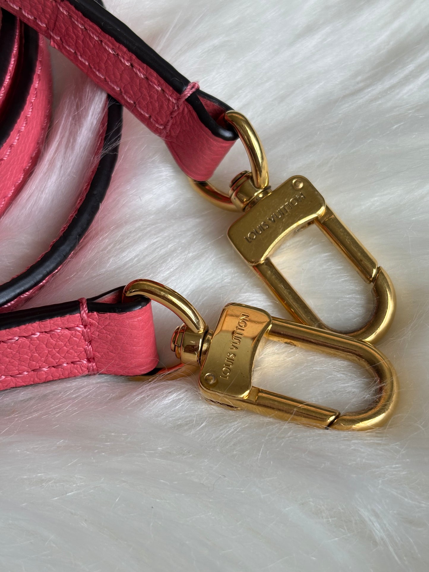 Louis Vuitton Speedy 20 Bandouliere Blossom