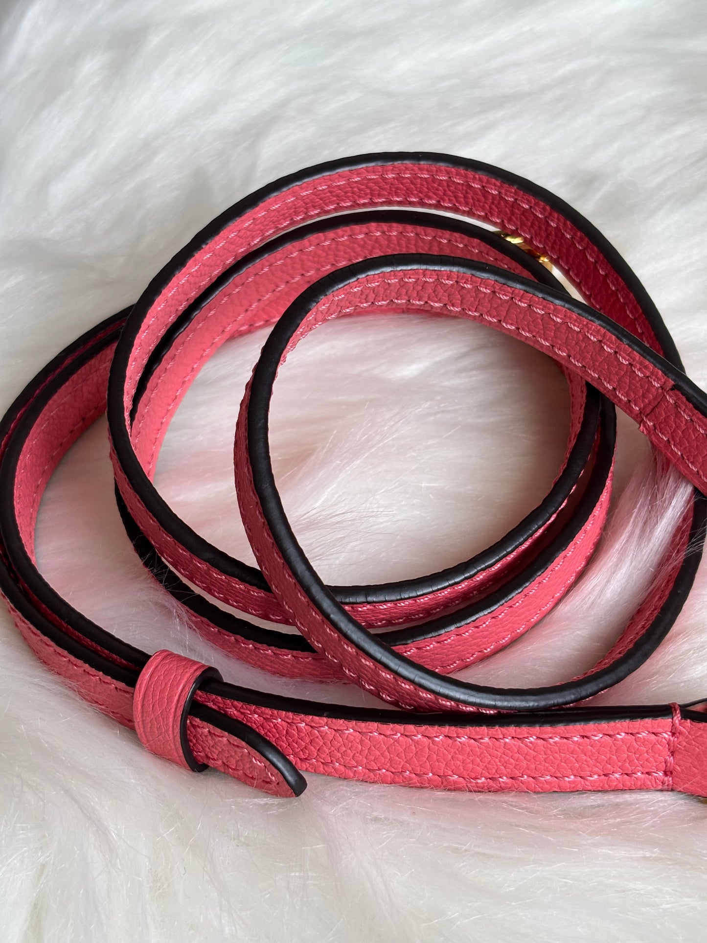 Louis Vuitton Speedy 20 Bandouliere Blossom