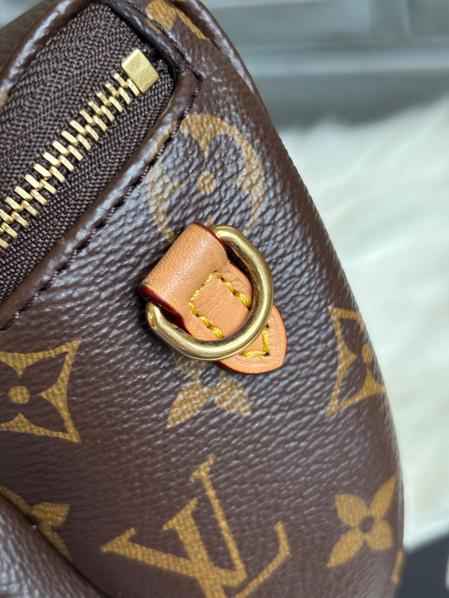 Louis Vuitton Mini Bumbag