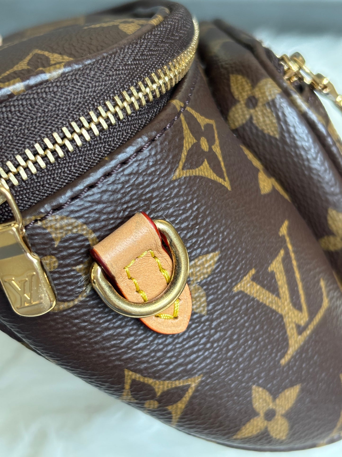 Louis Vuitton Mini Bumbag