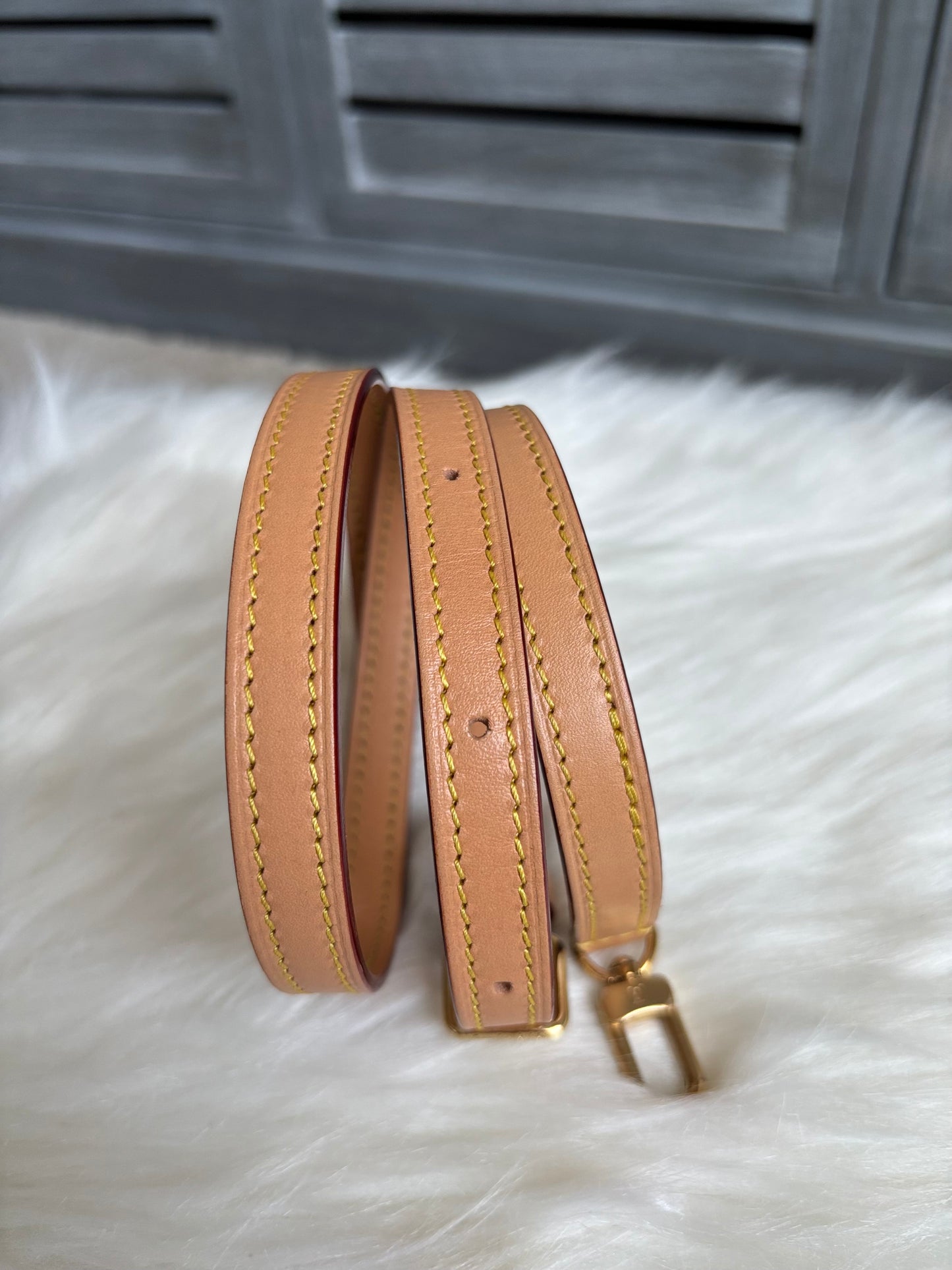 Louis Vuitton Mini Bumbag