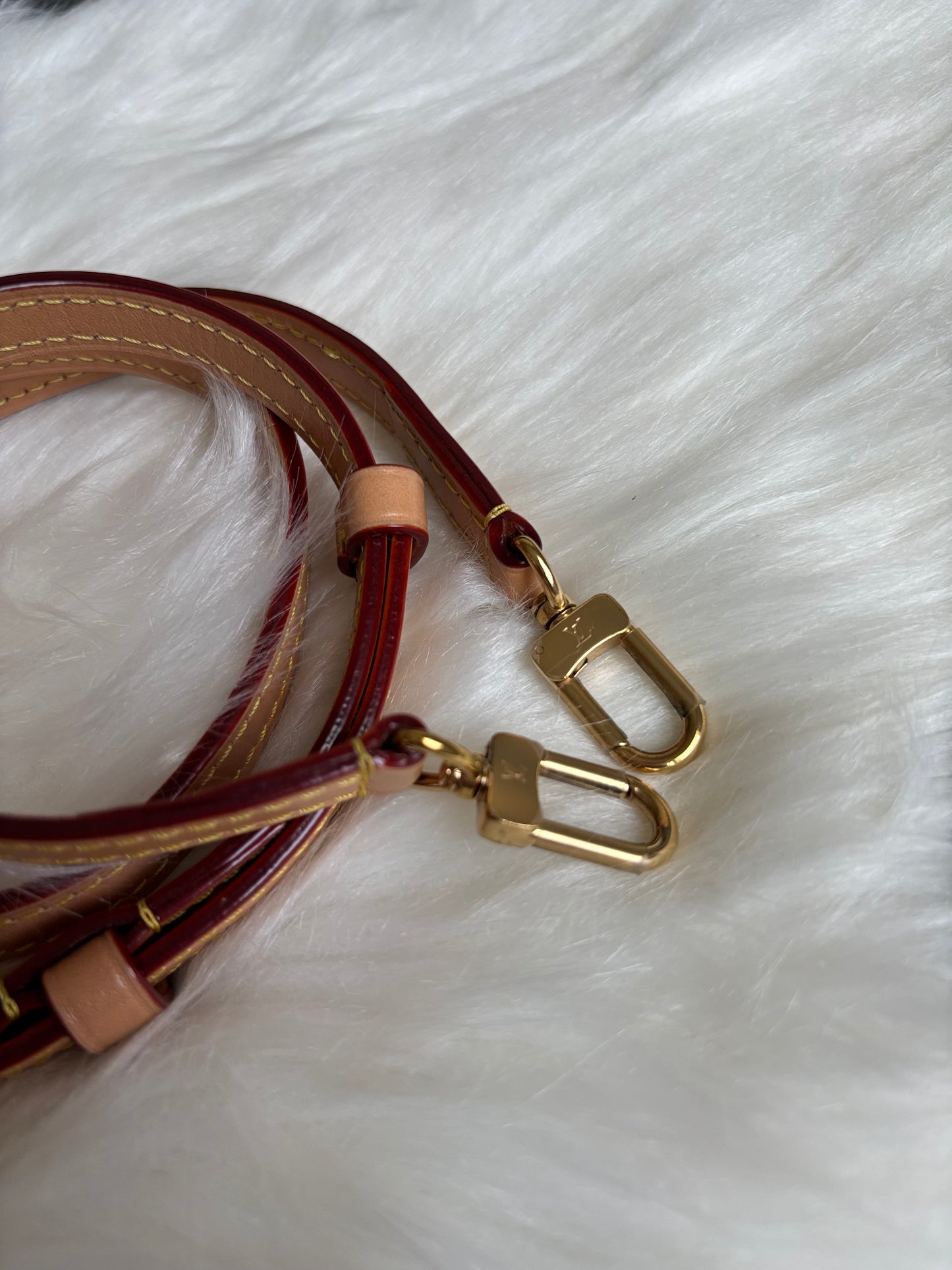 Louis Vuitton Mini Bumbag