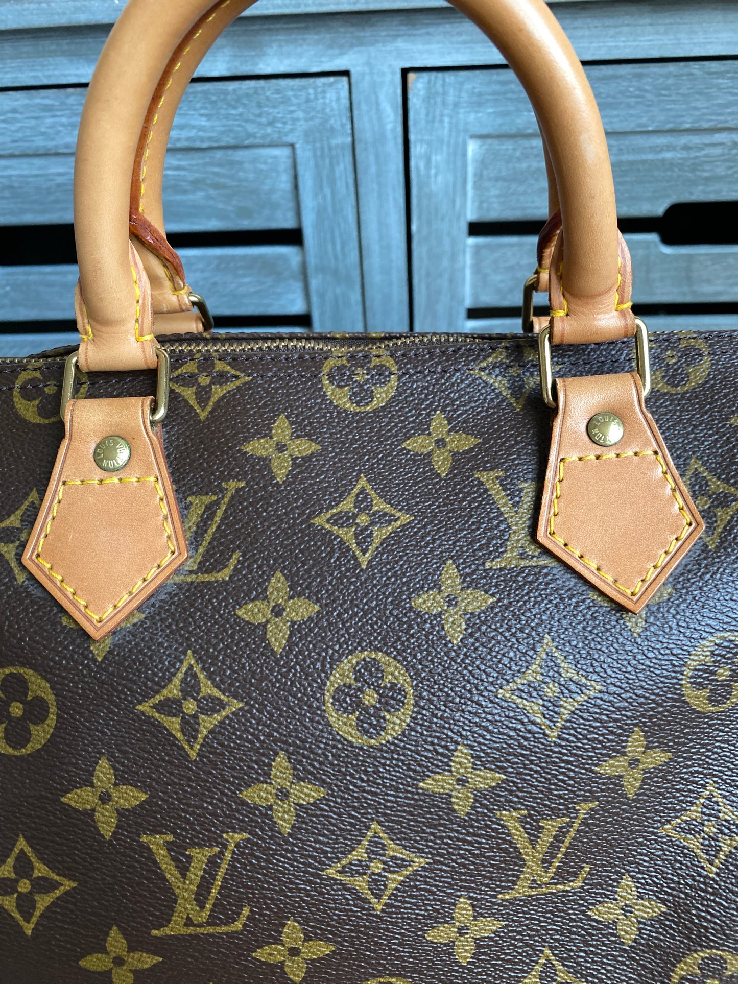 Louis Vuitton Speedy 35