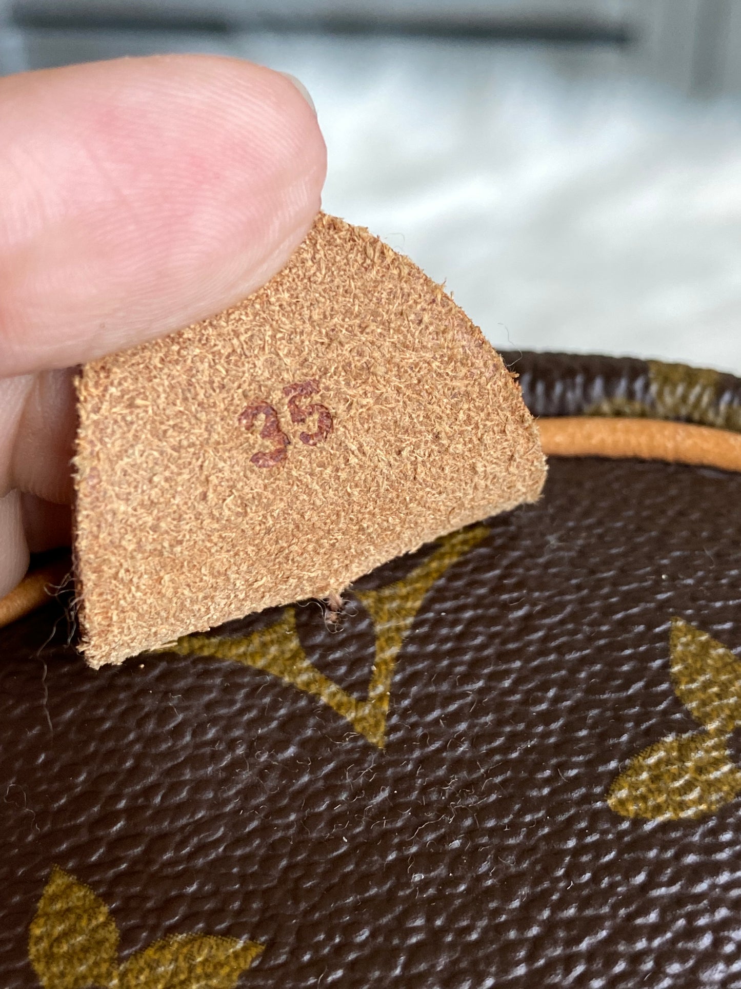 Louis Vuitton Speedy 35