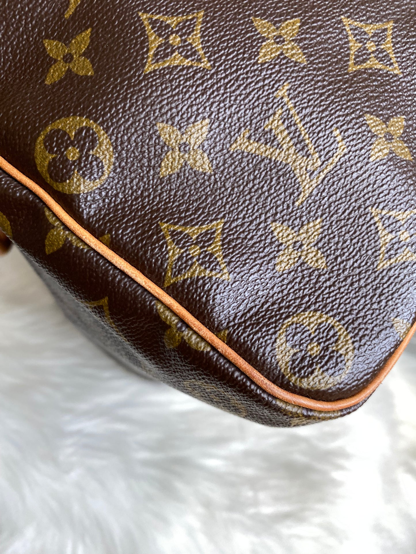 Louis Vuitton Speedy 35