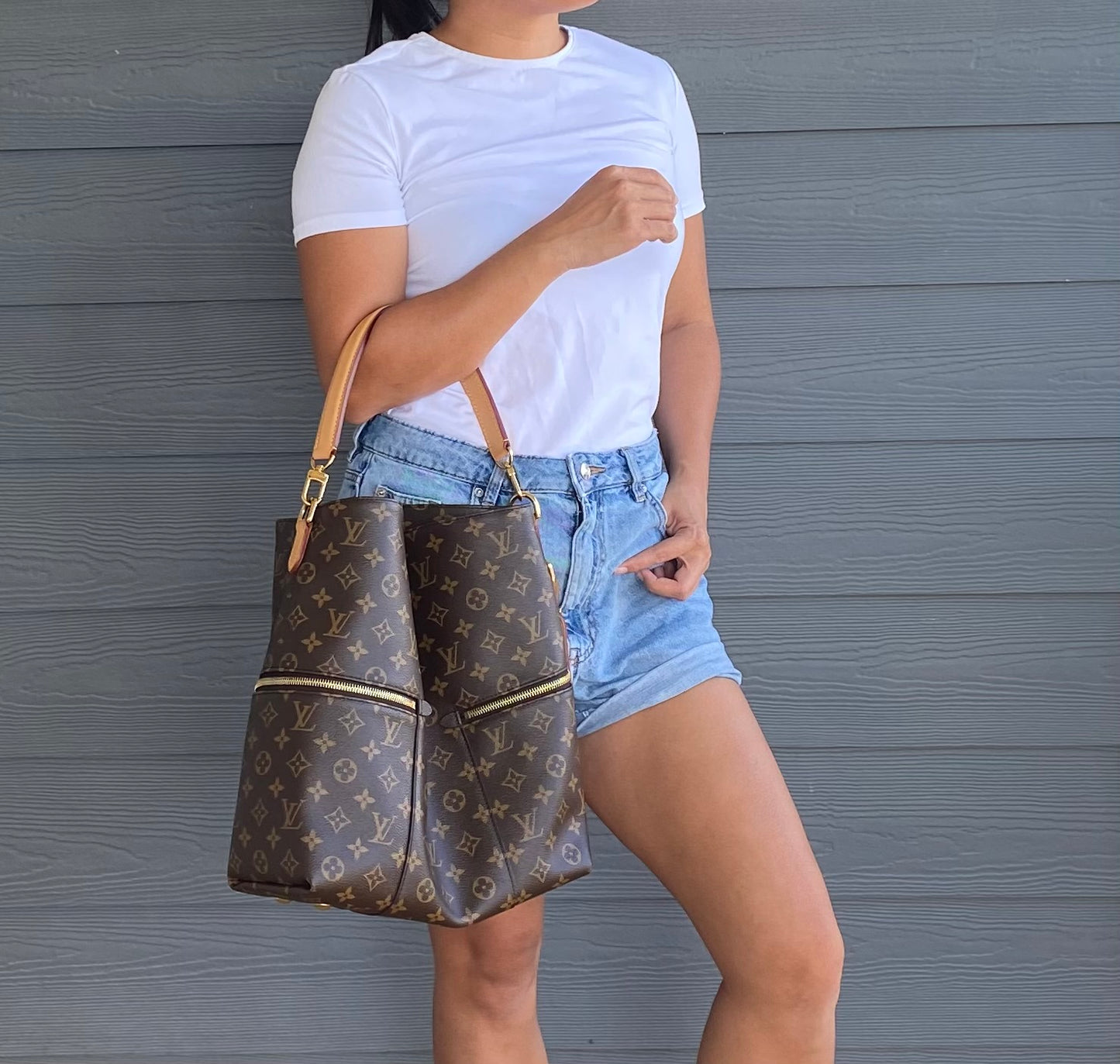 Louis Vuitton Melie Hobo