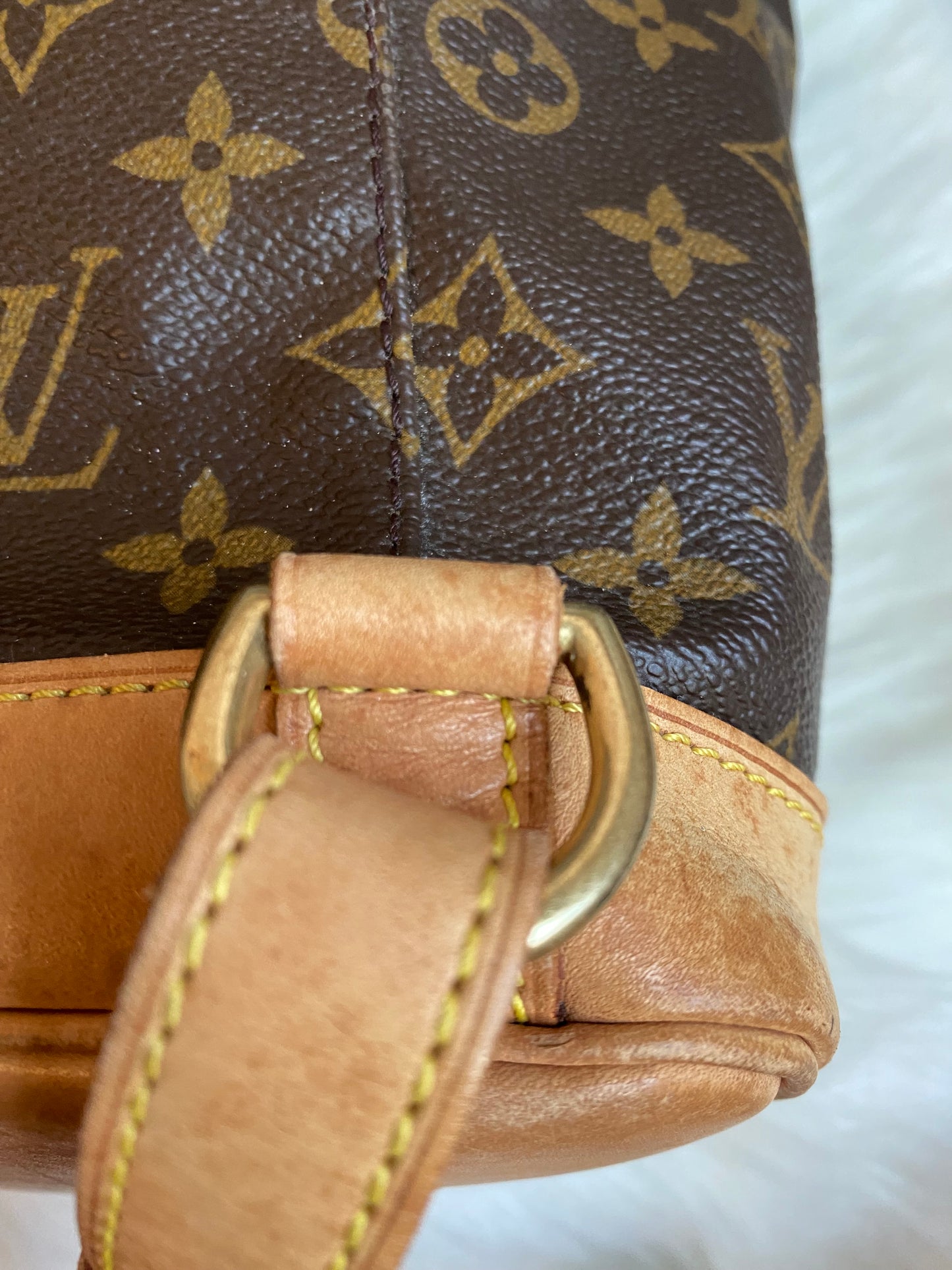 Louis Vuitton Montsouris GM Backpack