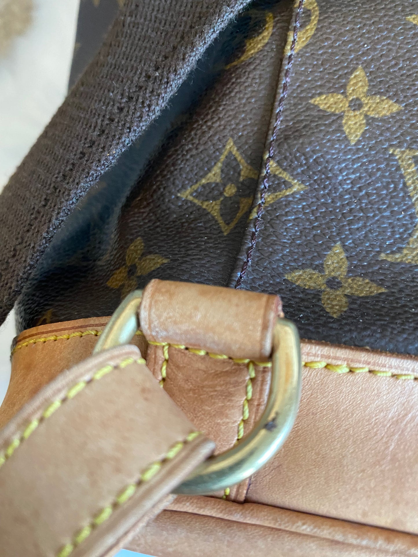 Louis Vuitton Montsouris GM Backpack