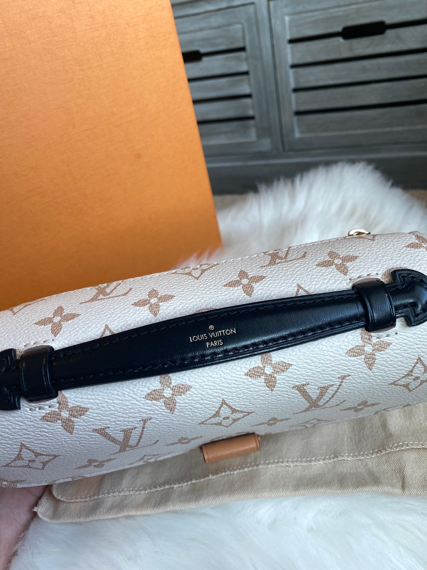 Louis Vuitton Pochette Metis East West Dune