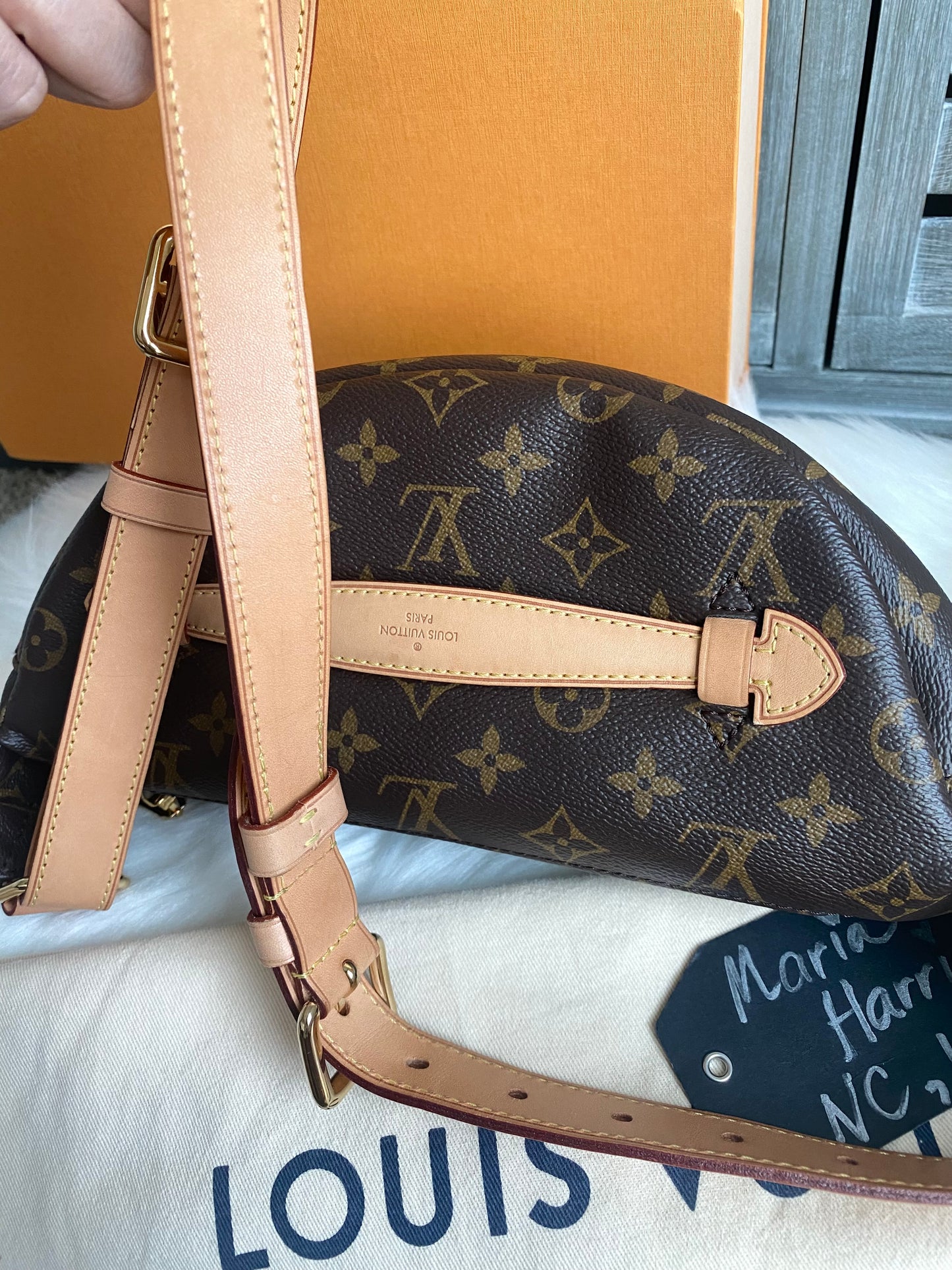 Louis Vuitton Monogram Bumbag