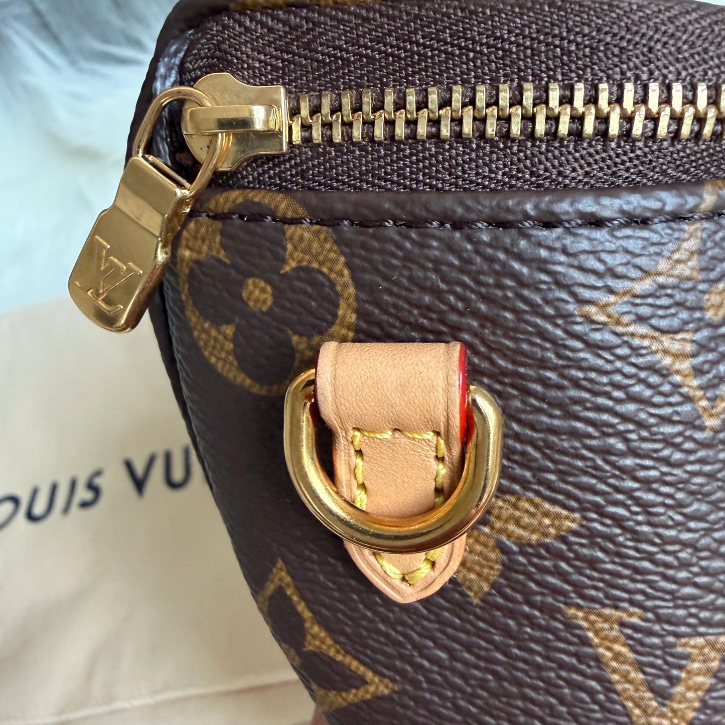 Louis Vuitton Mini Bumbag