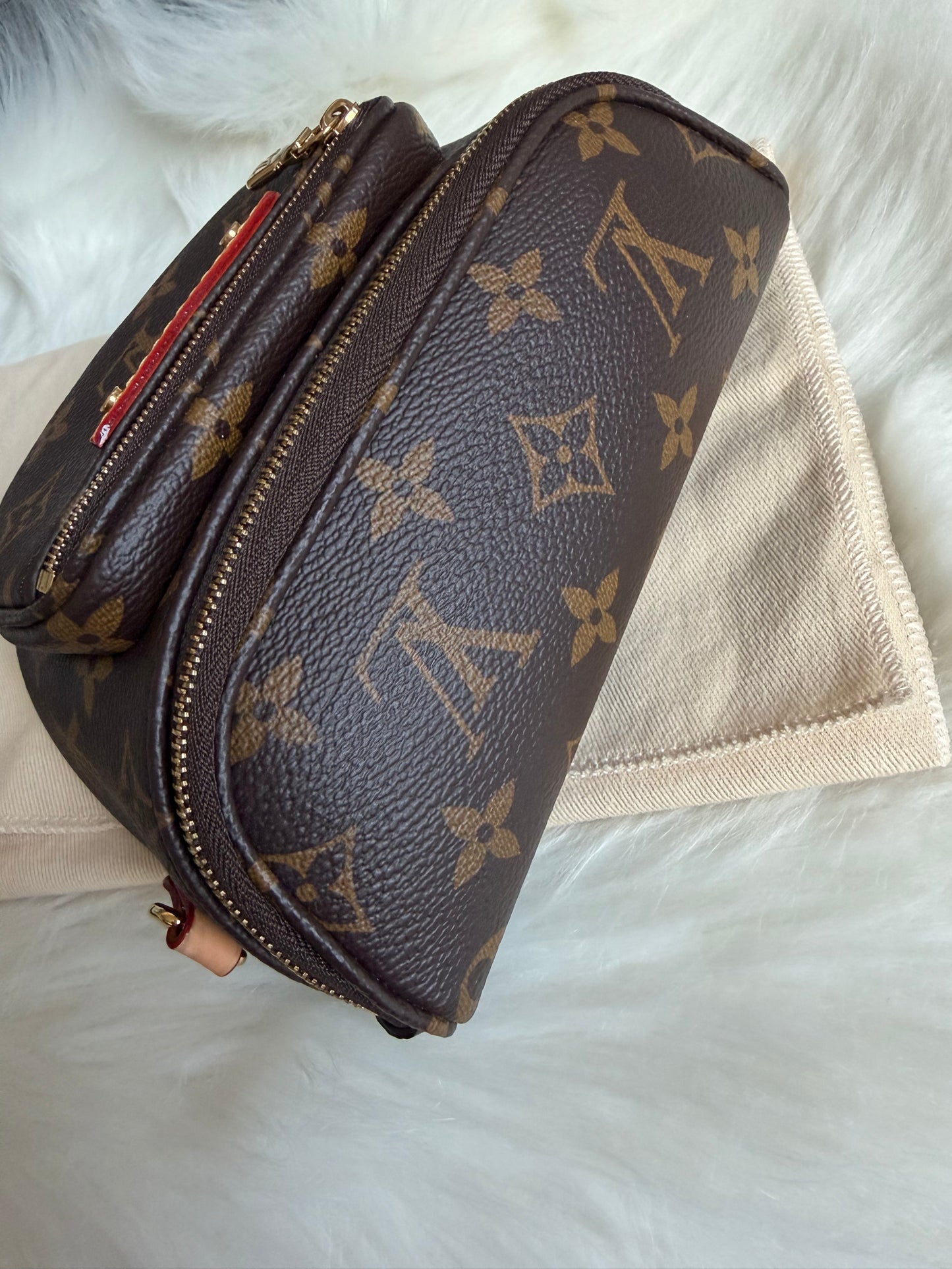 Louis Vuitton Mini Bumbag