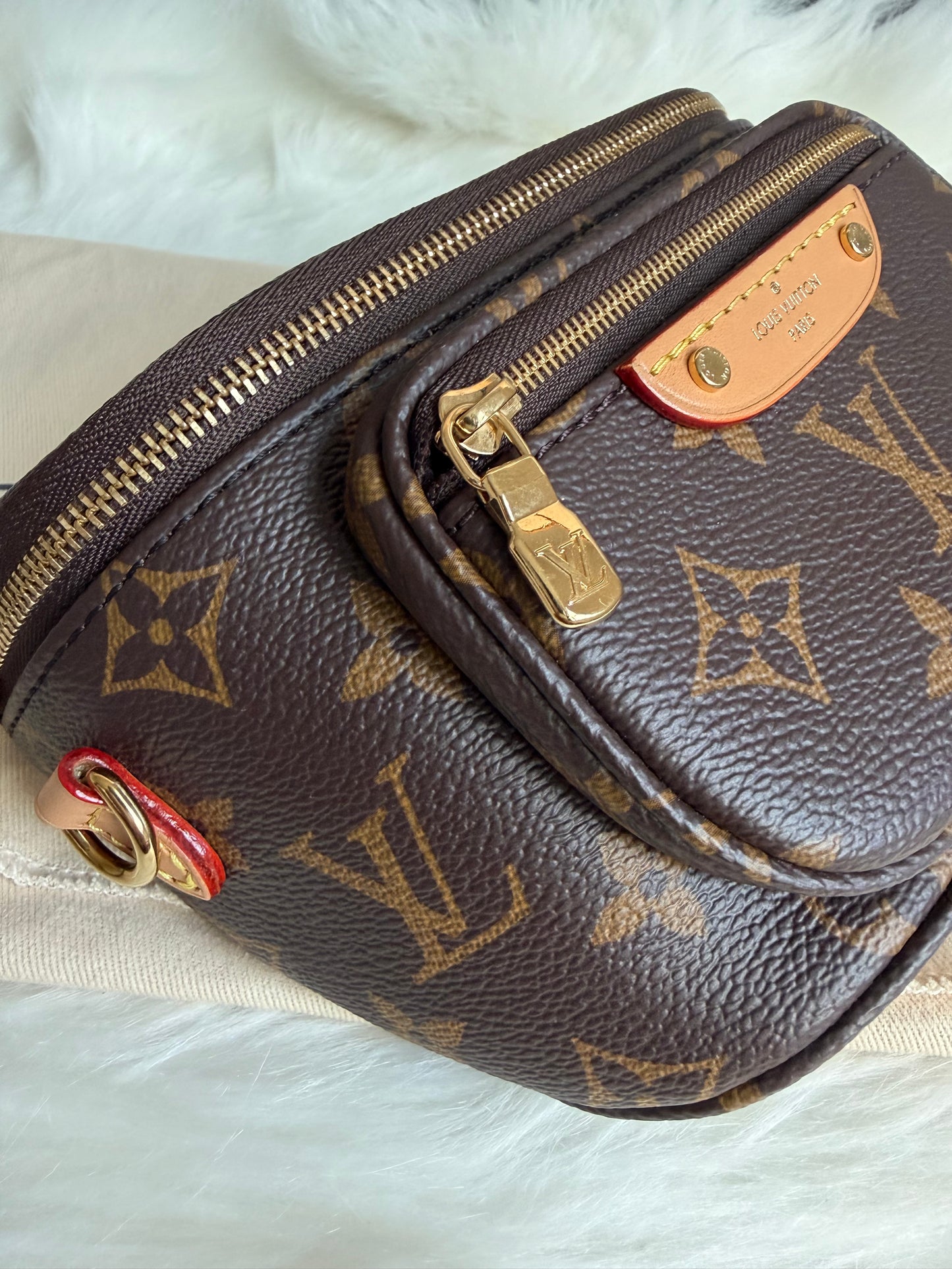 Louis Vuitton Mini Bumbag