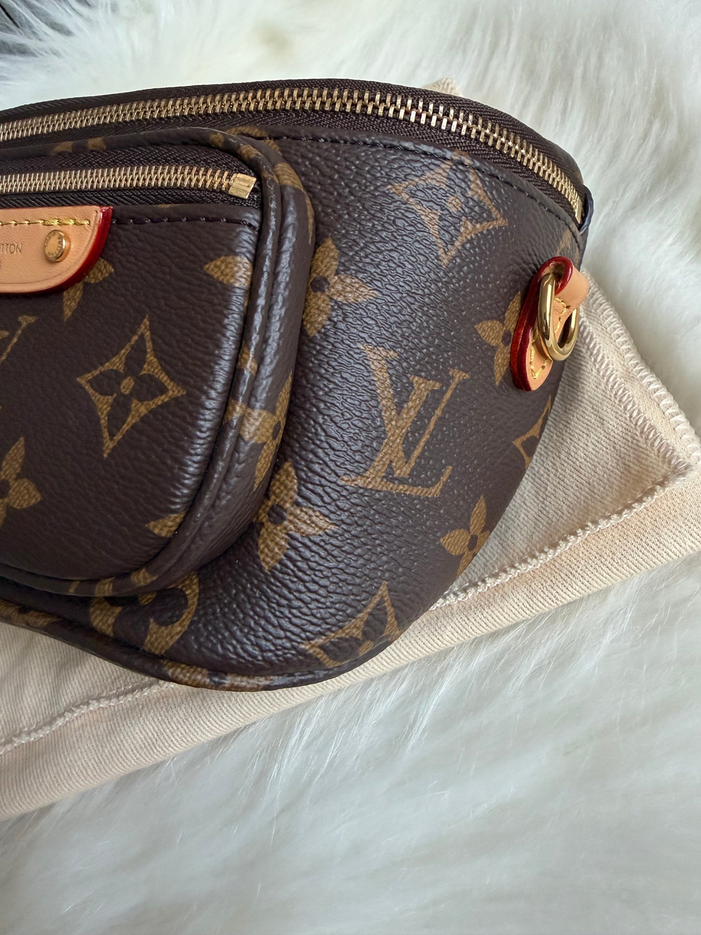 Louis Vuitton Mini Bumbag