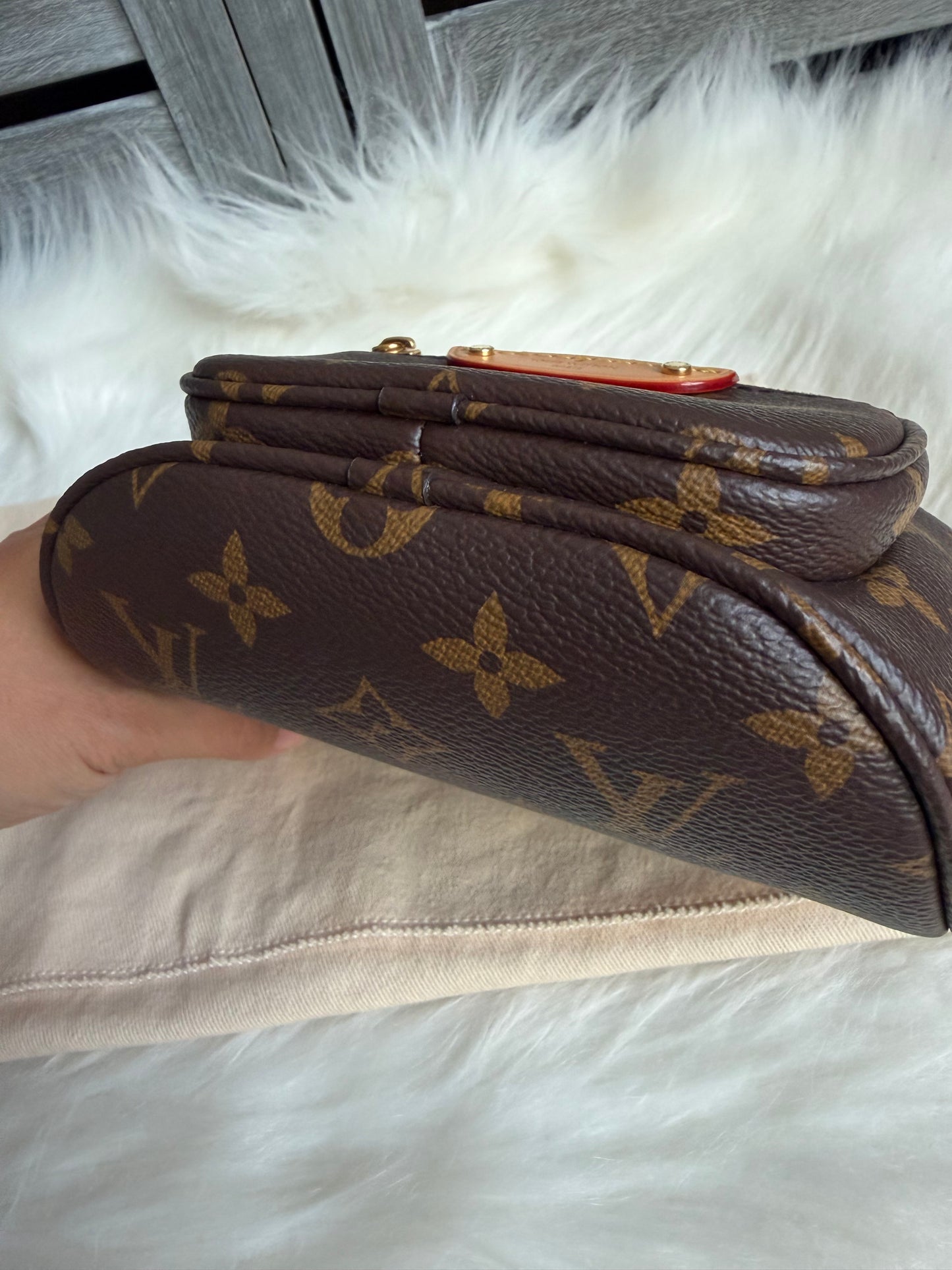 Louis Vuitton Mini Bumbag
