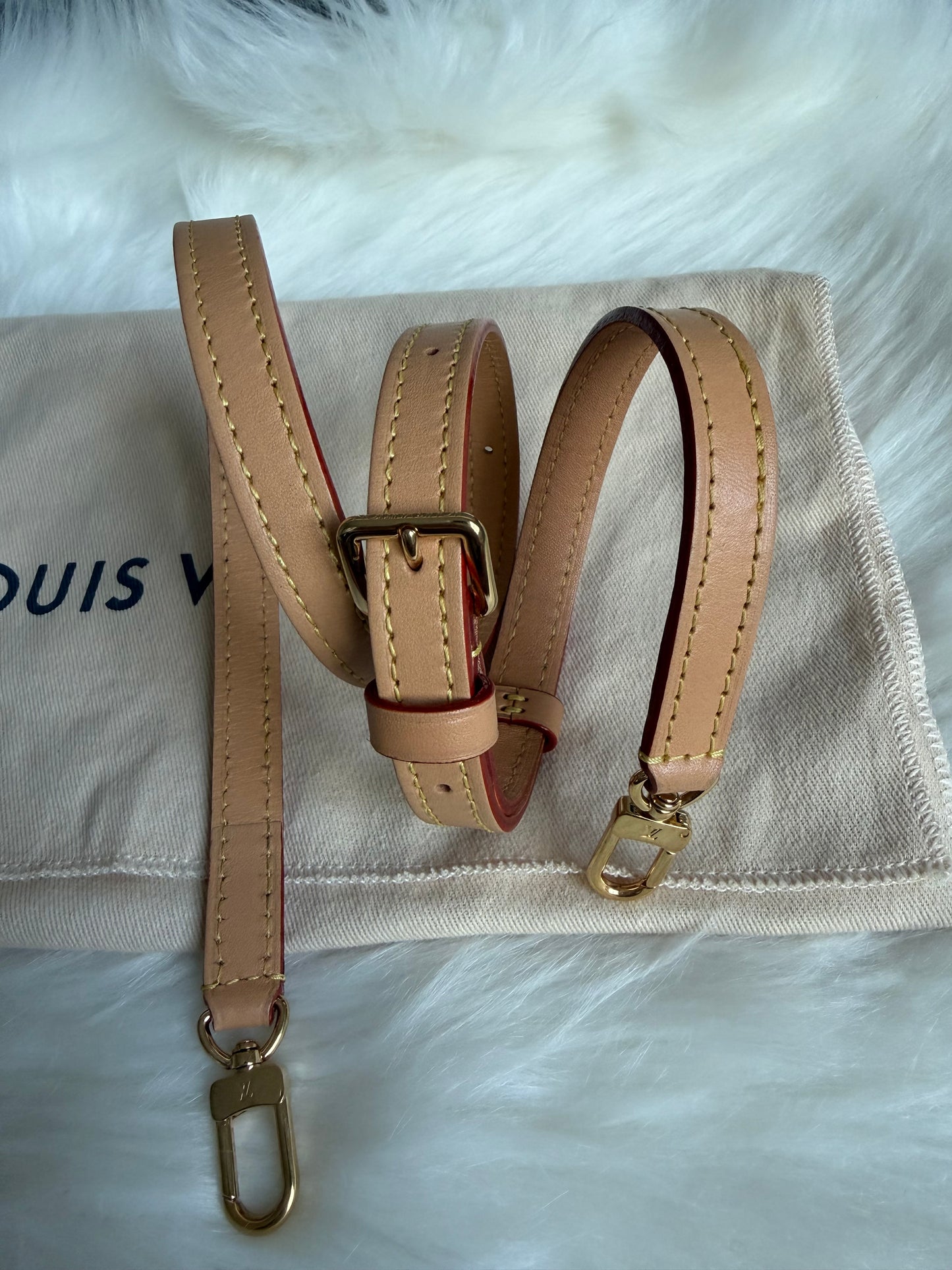 Louis Vuitton Mini Bumbag