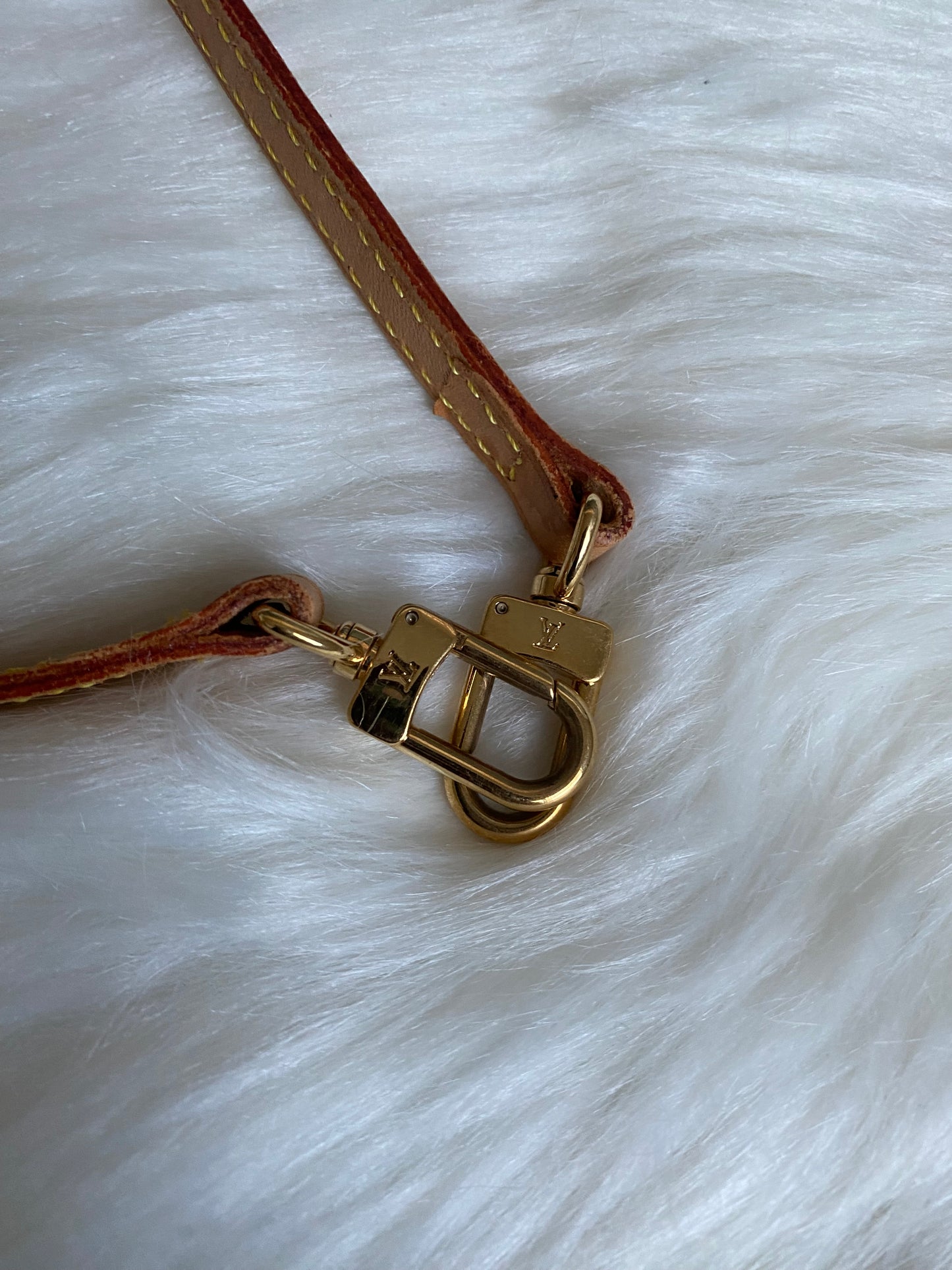 Louis Vuitton Spontini Crossbody Bag