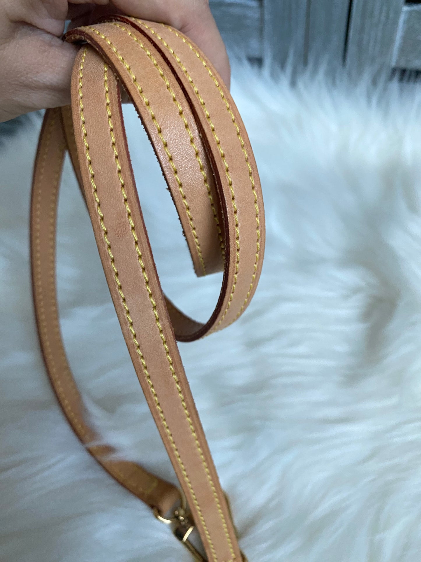 Louis Vuitton Spontini Crossbody Bag