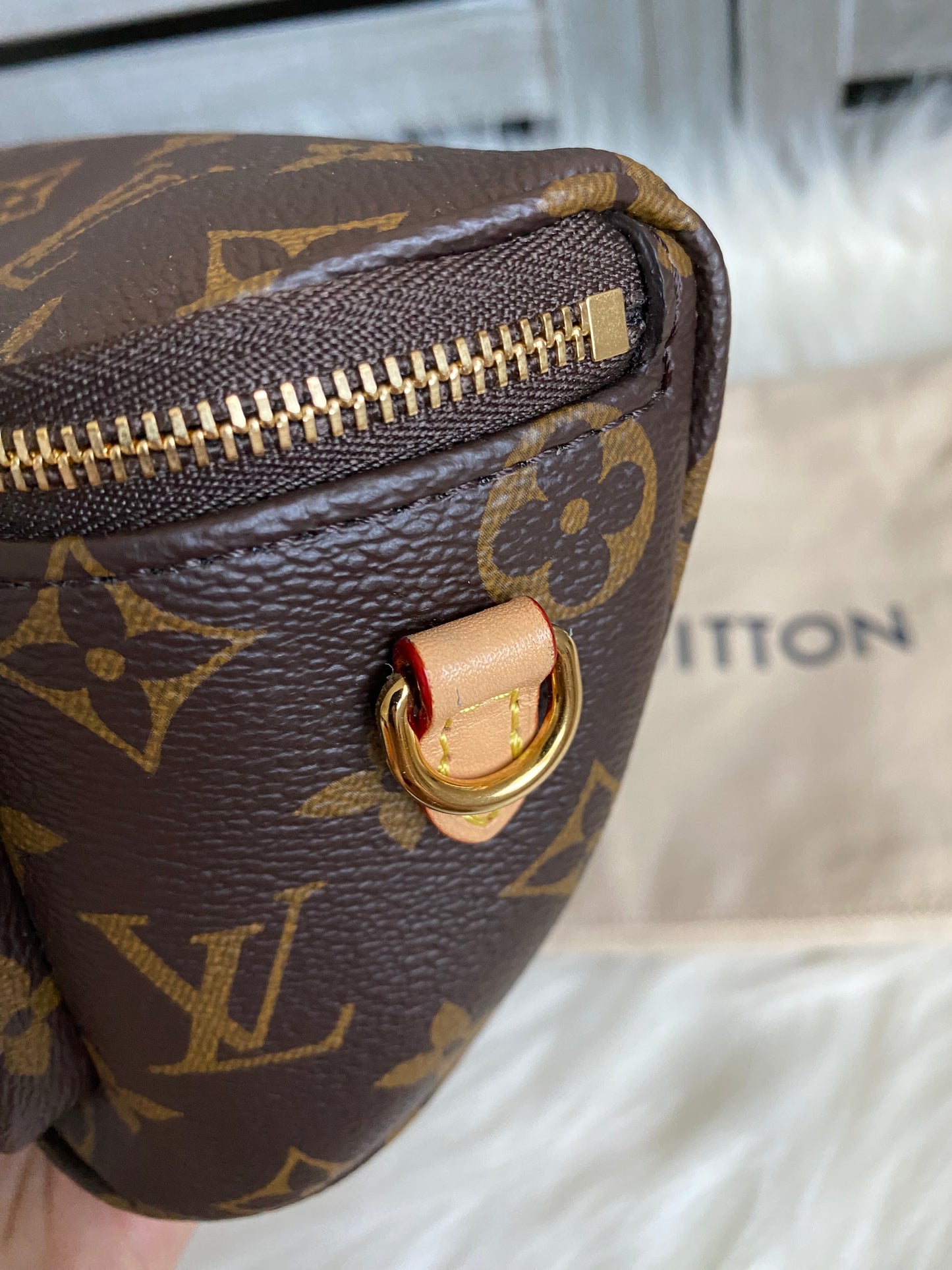 Louis Vuitton Mini Bumbag