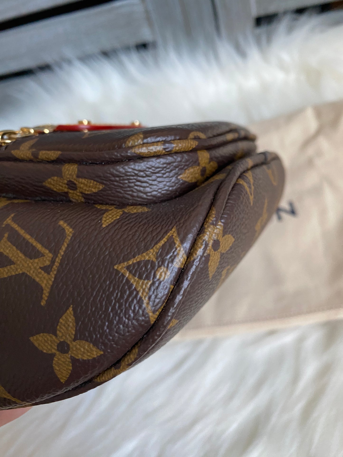 Louis Vuitton Mini Bumbag