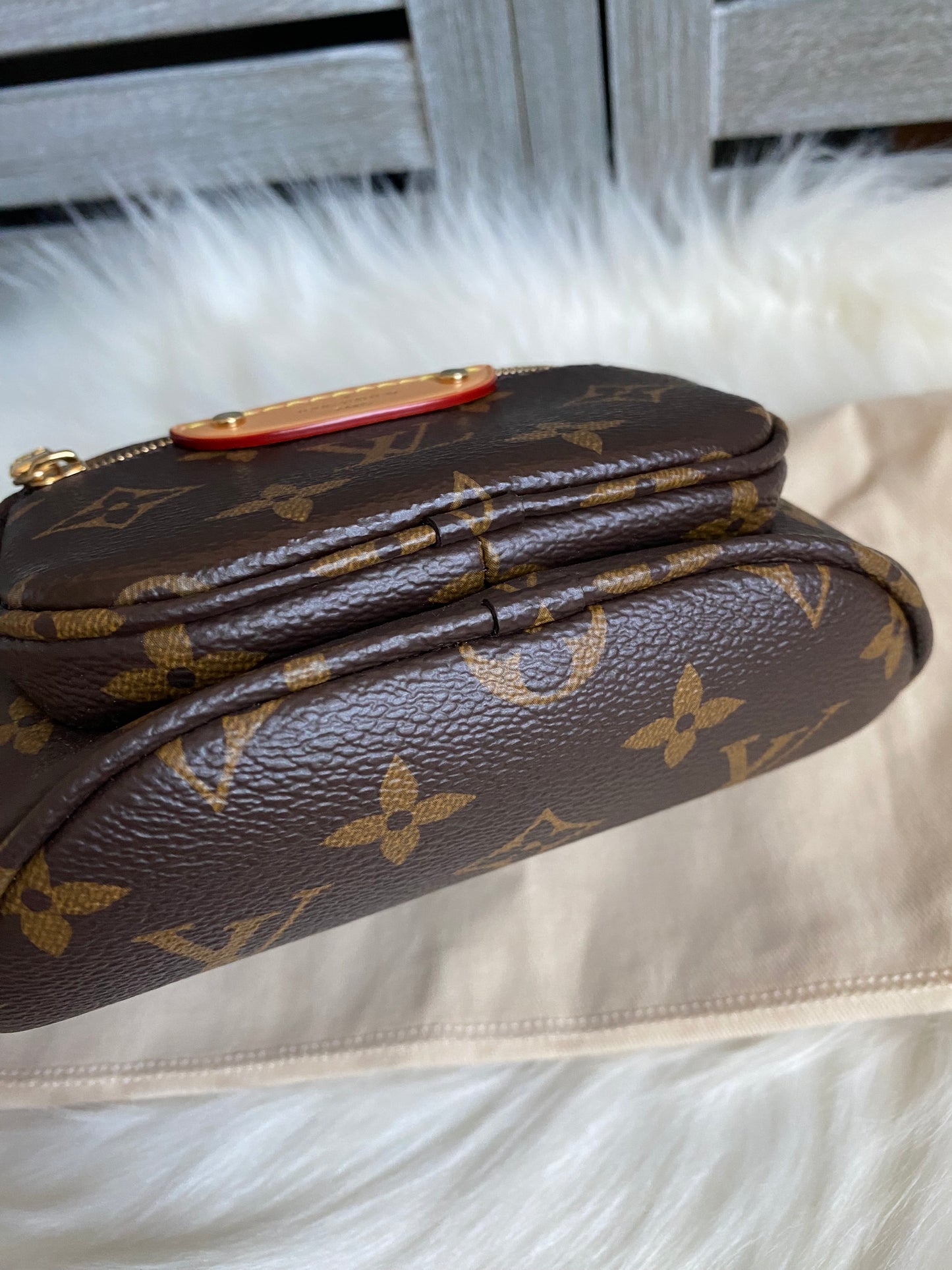 Louis Vuitton Mini Bumbag