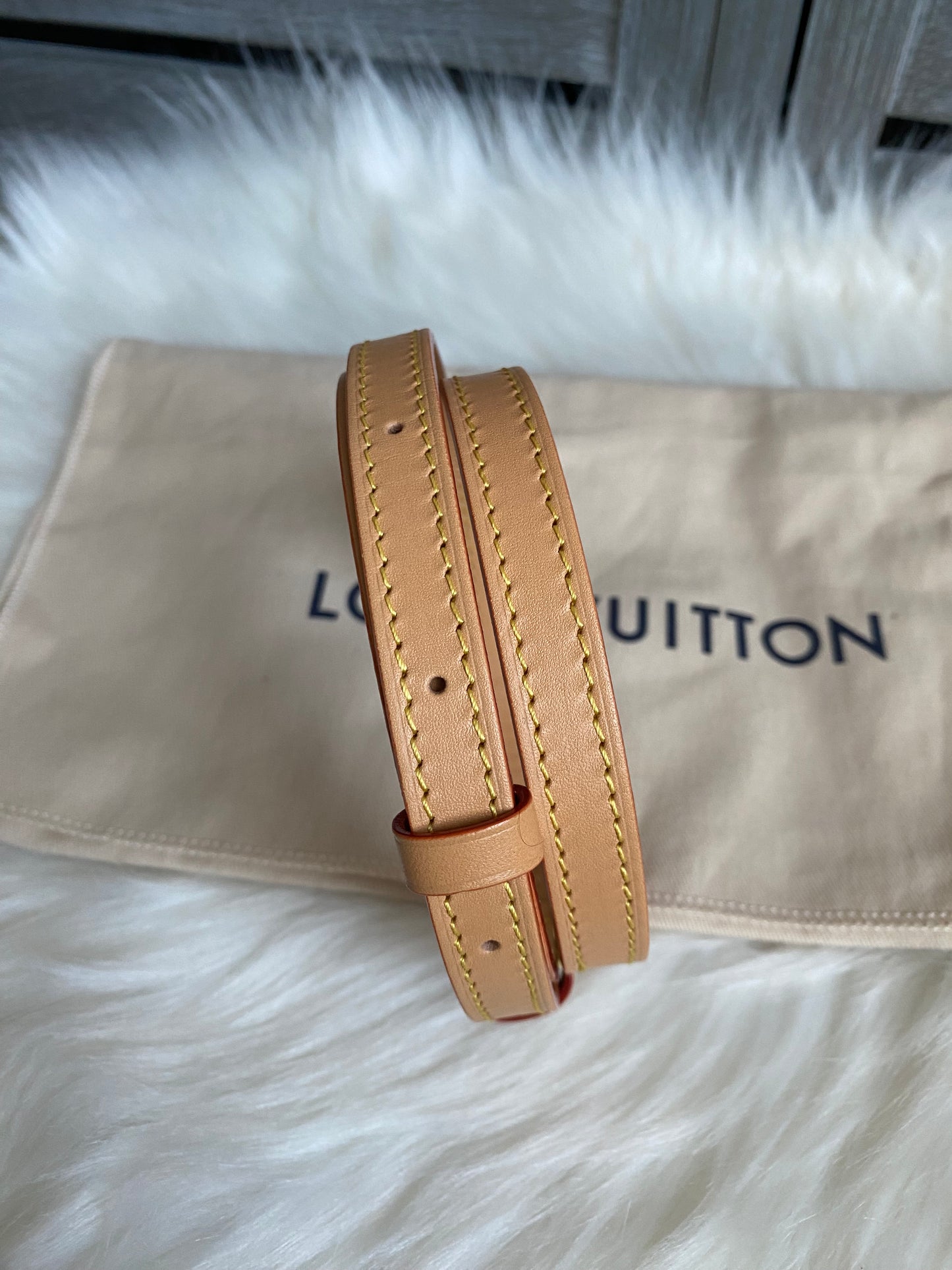 Louis Vuitton Mini Bumbag