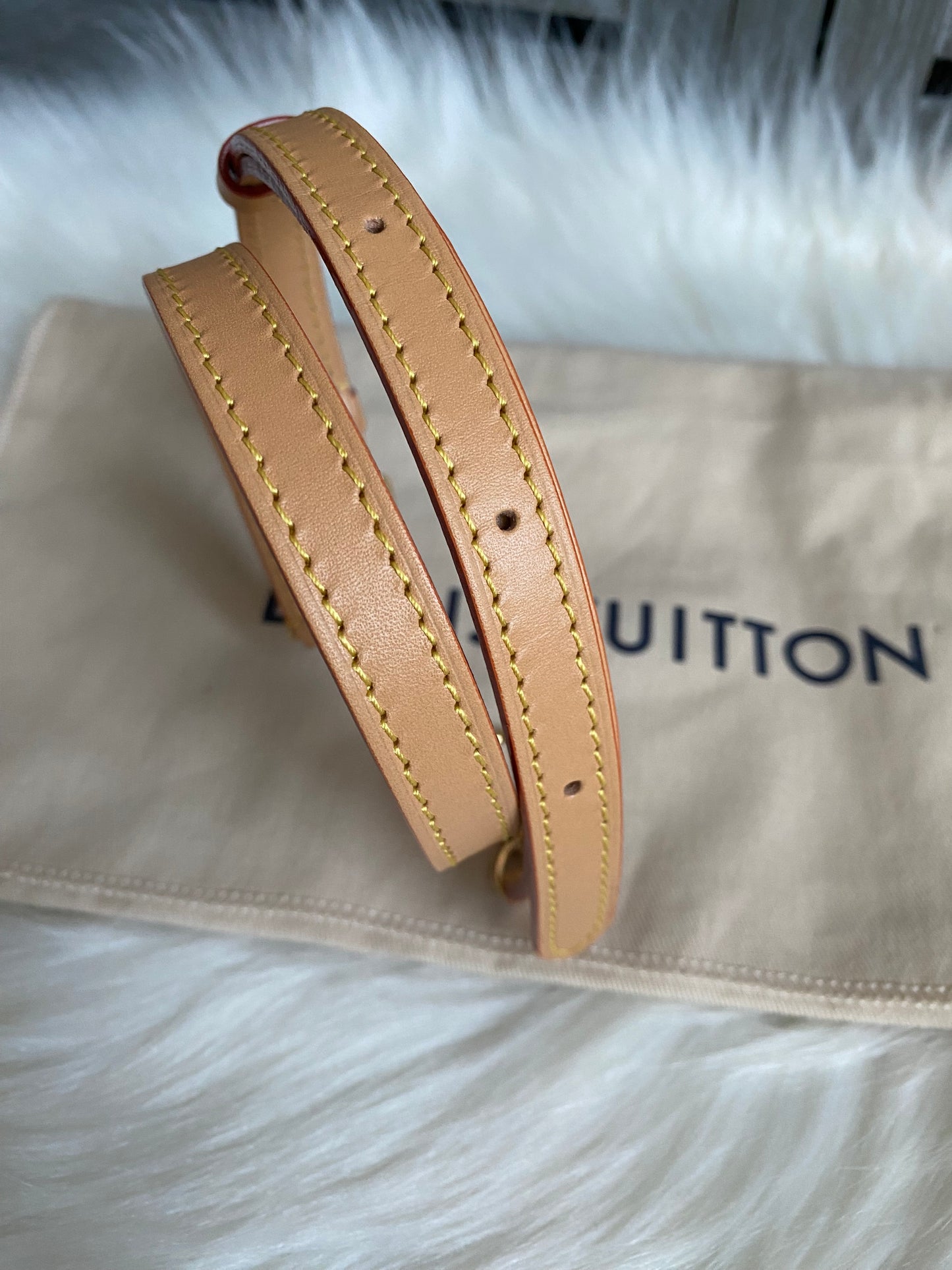 Louis Vuitton Mini Bumbag