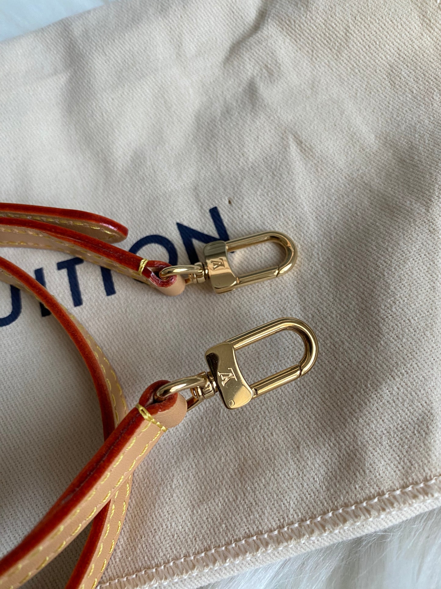 Louis Vuitton Mini Bumbag