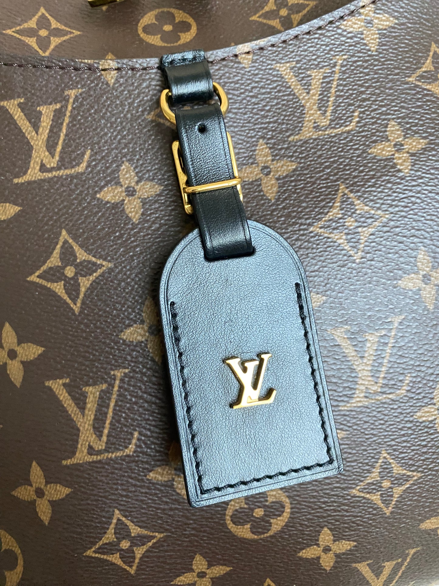 Louis Vuitton Odeon MM Noir