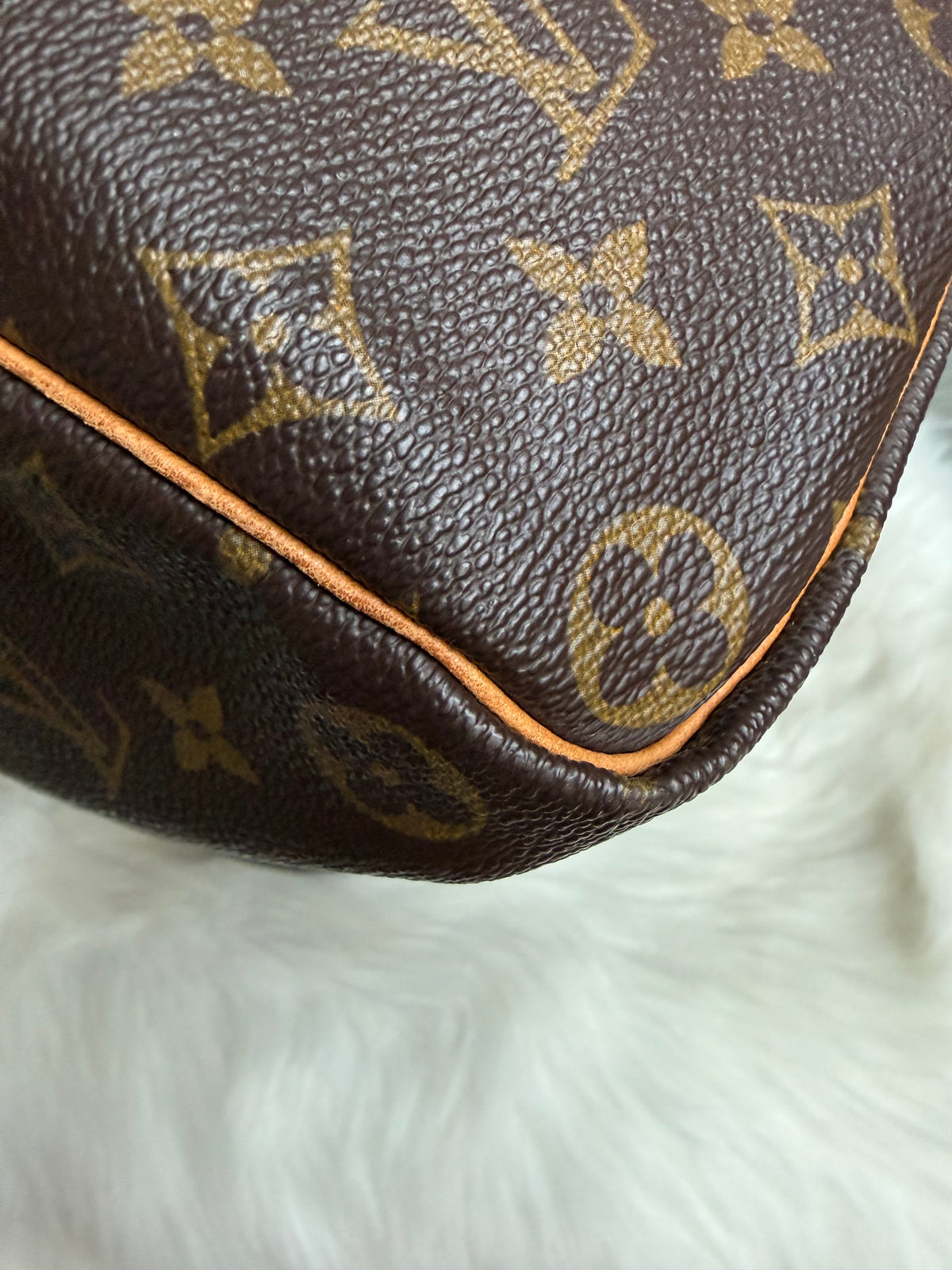 Louis Vuitton Speedy 35