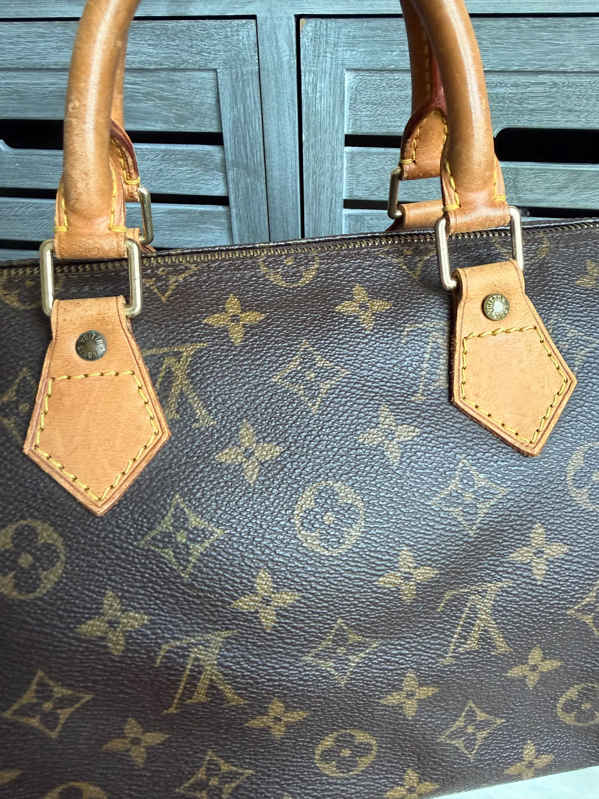 Louis Vuitton Speedy 35