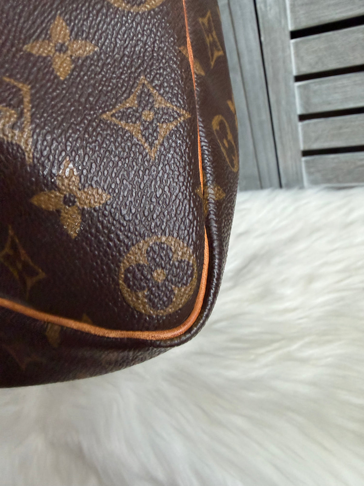 Louis Vuitton Speedy 35