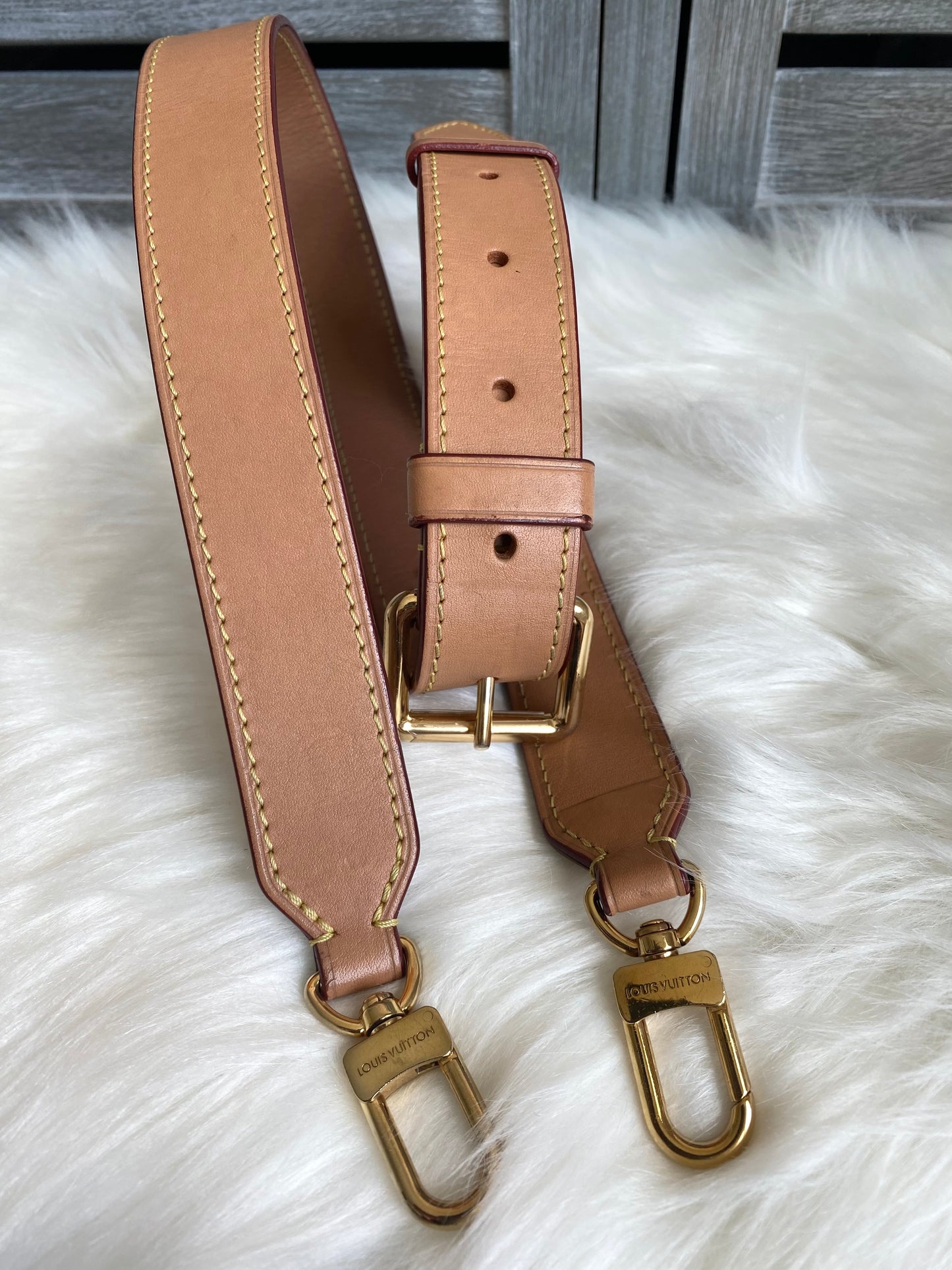 Louis Vuitton Odeon PM