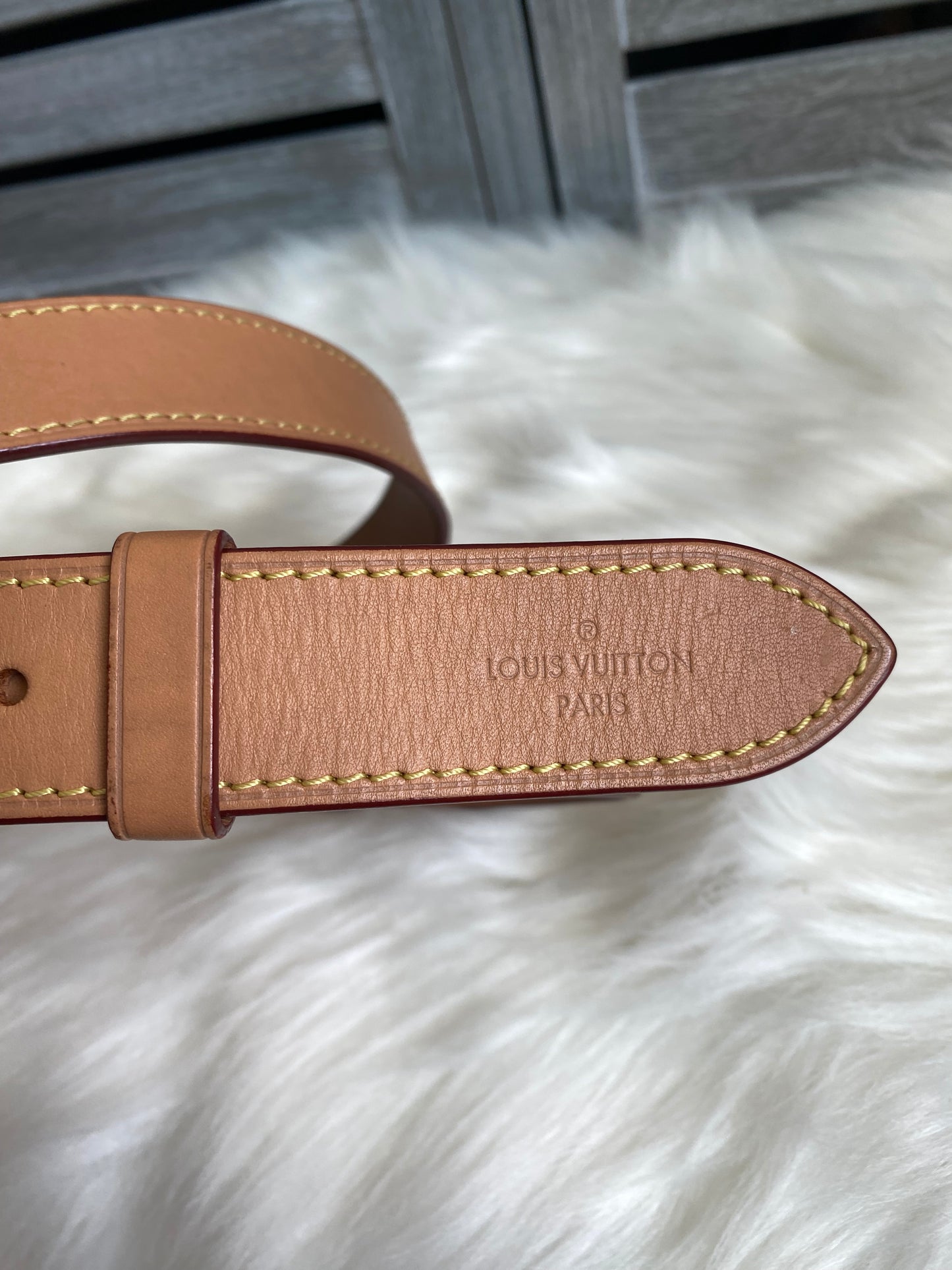 Louis Vuitton Odeon PM