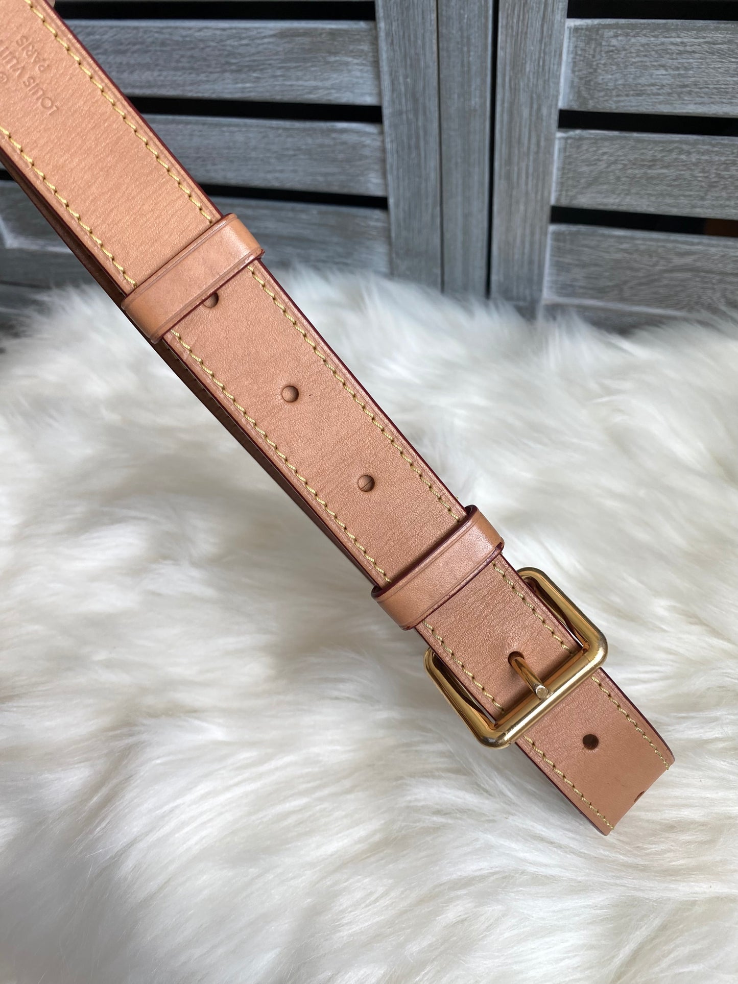 Louis Vuitton Odeon PM
