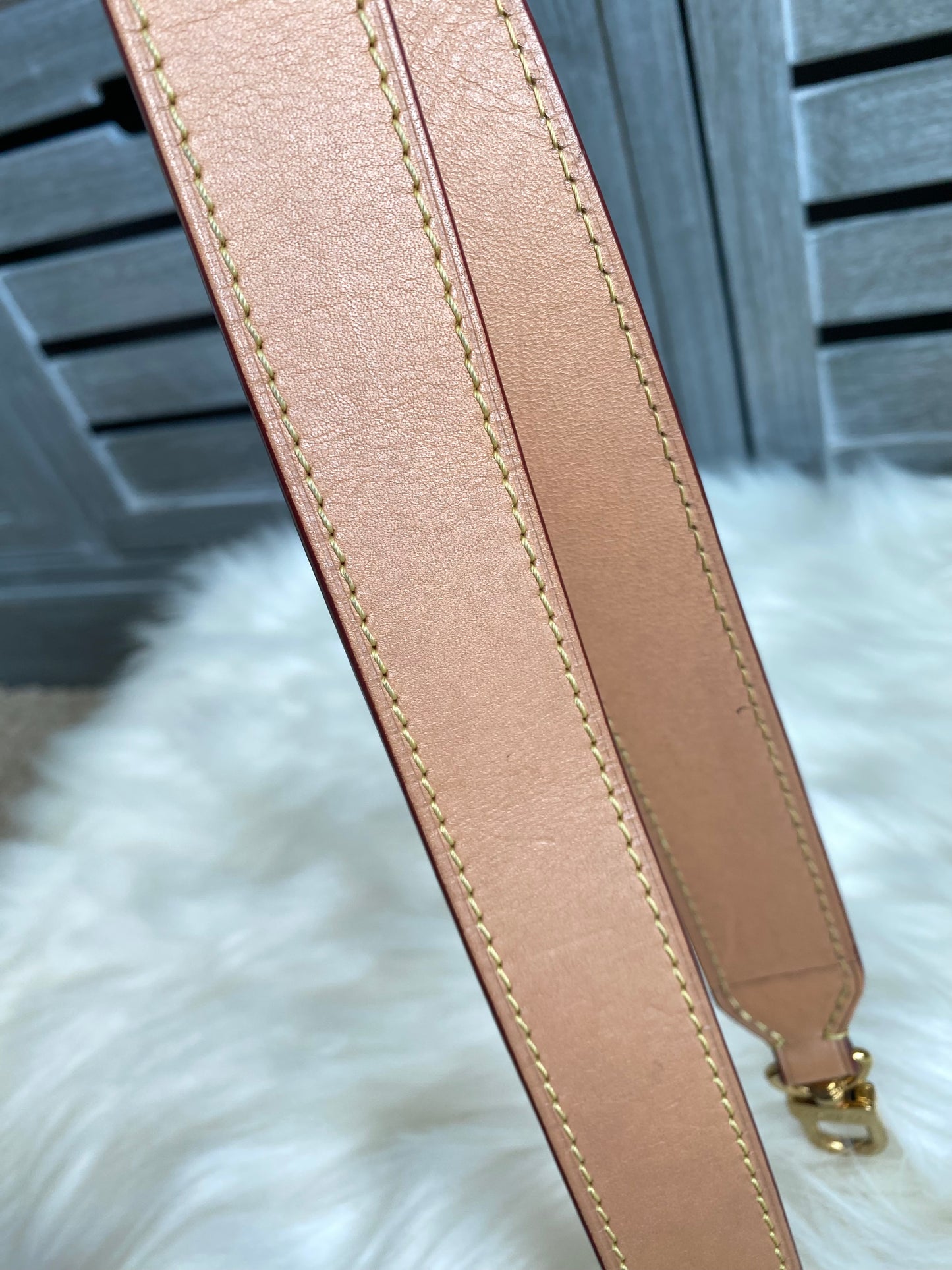 Louis Vuitton Odeon PM