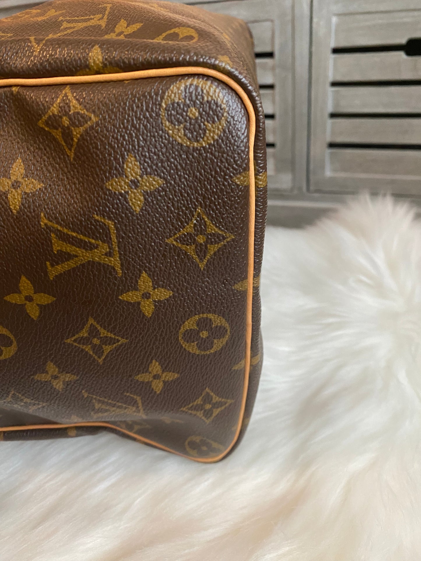 Louis Vuitton Speedy 35