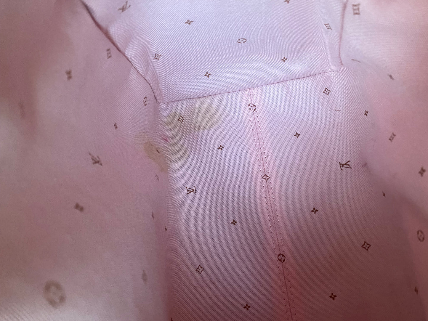 Louis Vuitton Limited Edition Fall For You Speedy 25 Bandouliere