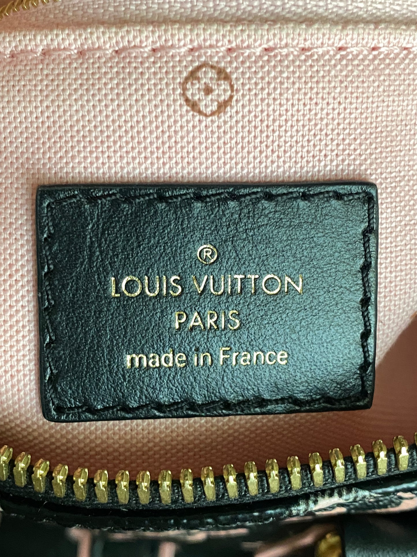 Louis Vuitton Limited Edition Fall For You Speedy 25 Bandouliere