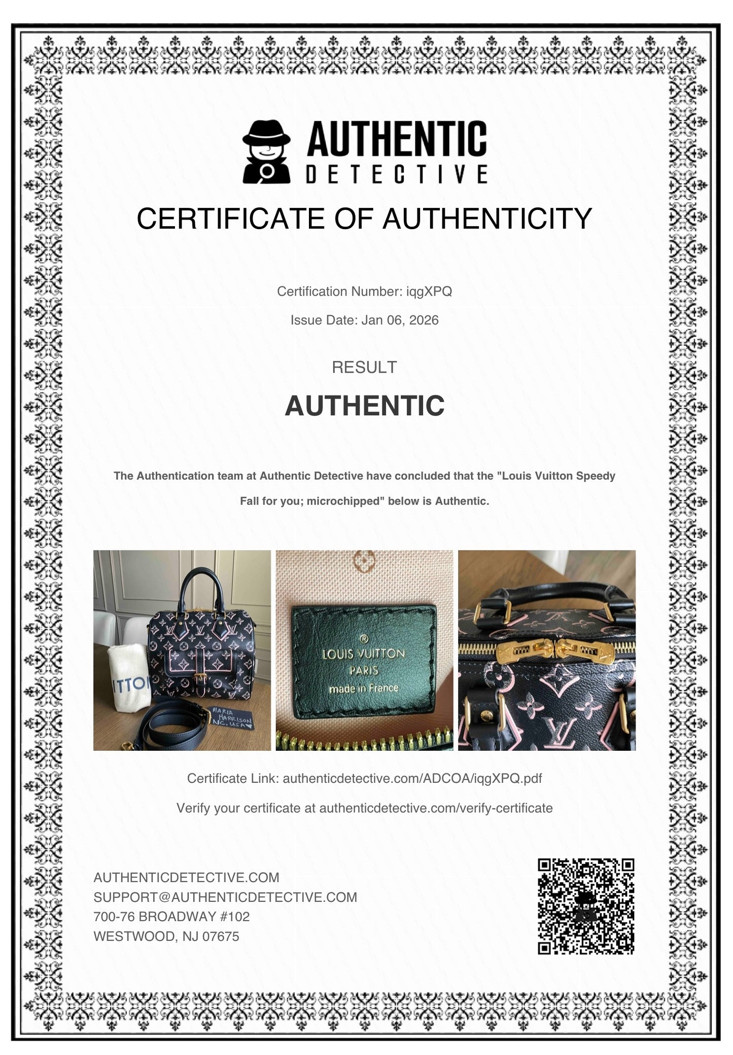 Louis Vuitton Limited Edition Fall For You Speedy 25 Bandouliere