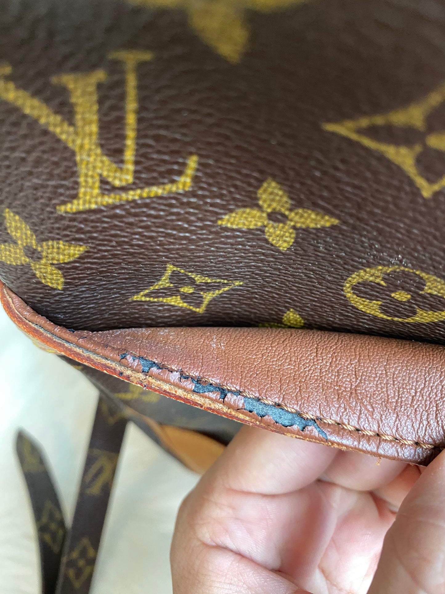 Louis Vuitton Danube PM Crossbody