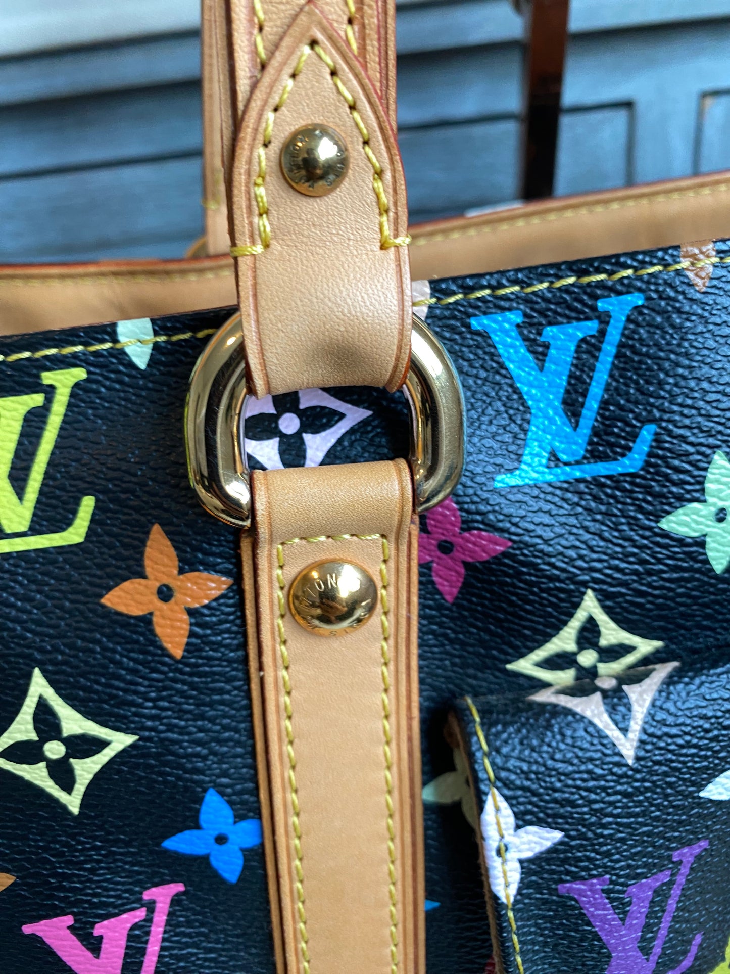 Louis Vuitton TM x Aurelia GM Black Multicolor With Pouch