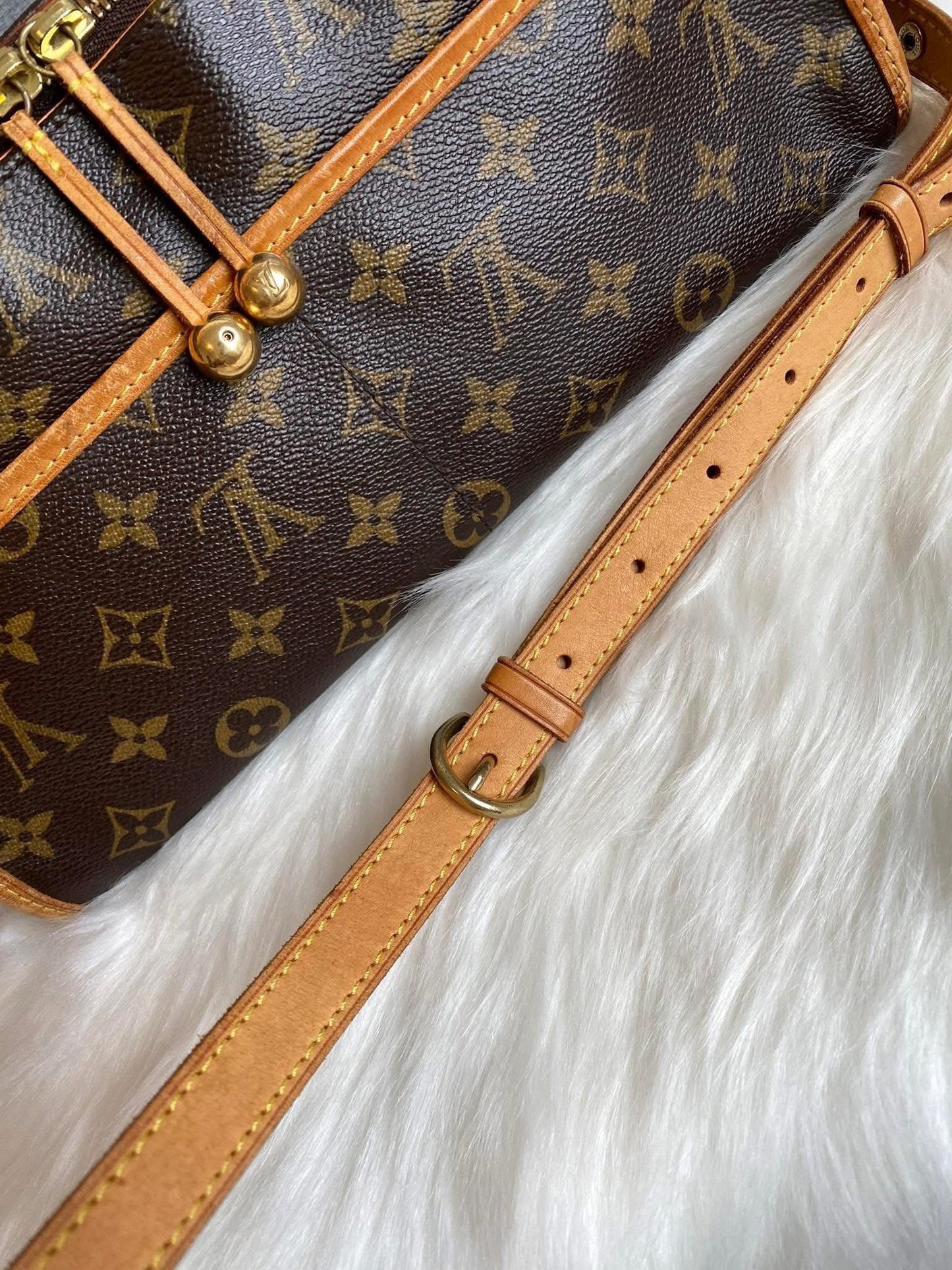 Louis Vuitton Popincourt Crossbody Bag