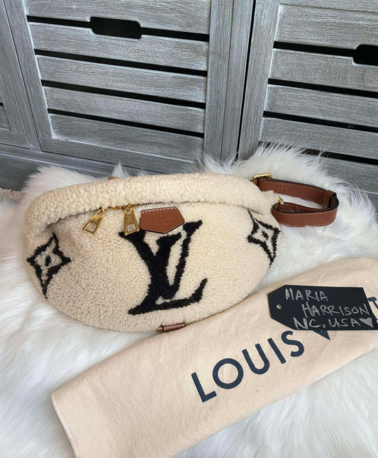 Louis Vuitton Teddy Shearling Bumbag
